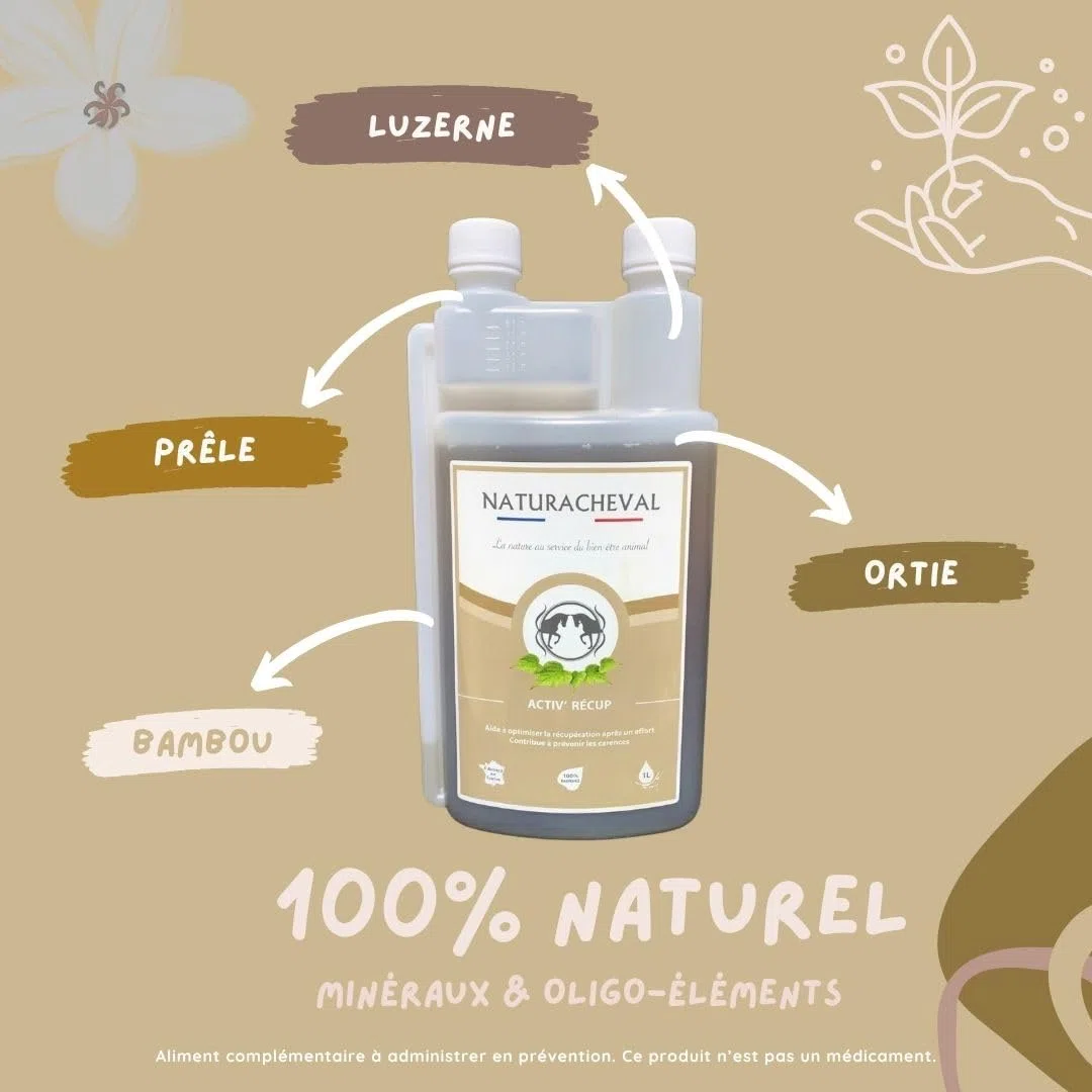 Complément récupération Cheval – Reminéralisant & électrolytes – Minéraux & Oligo-éléments – Après Effort & Chaleur