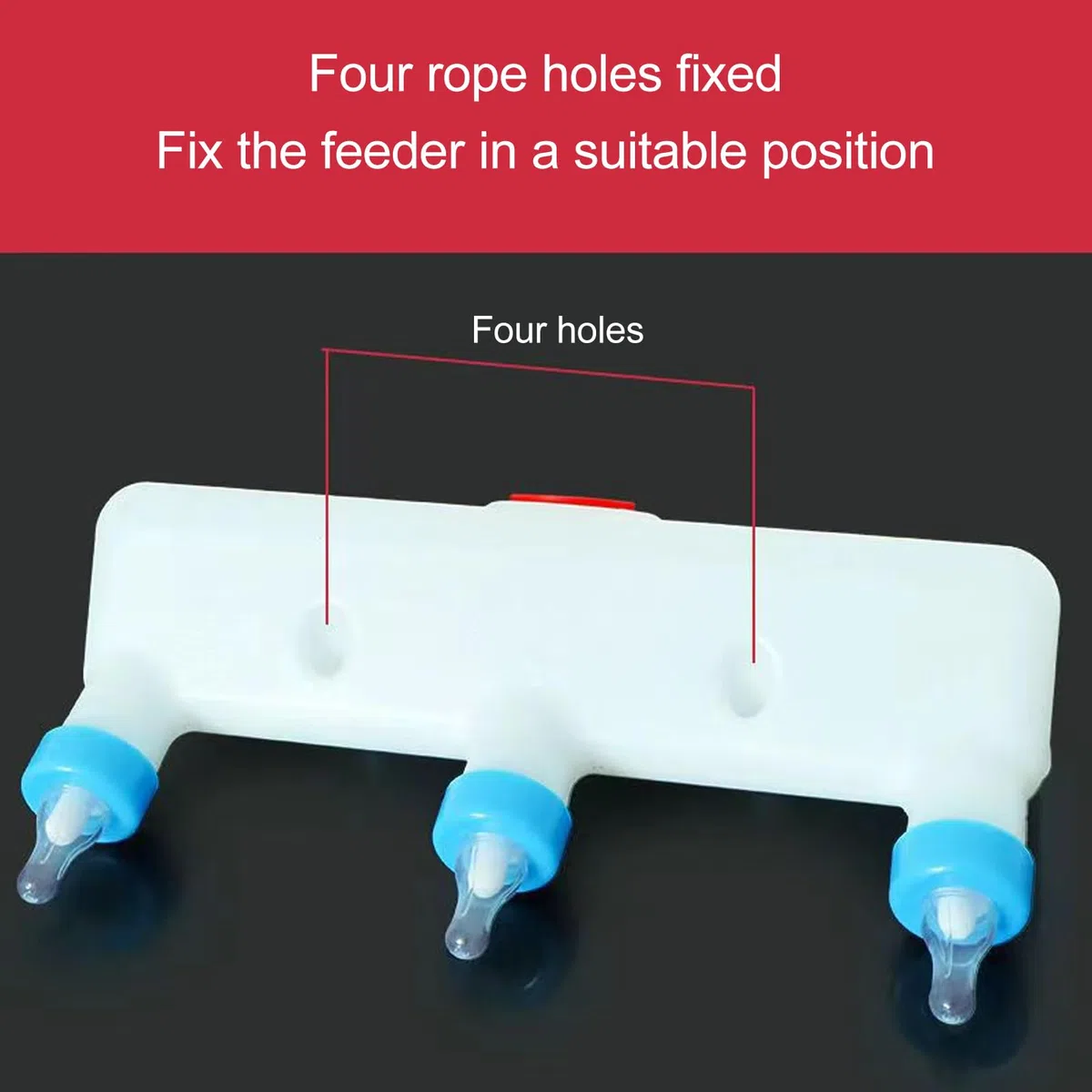 Mangeoire à Agneau 3 Sucettes pour Petits Animaux, Biberon de Lait de Chèvre, pour Porcelets, Chiots, Lampe pour bébé, Chatons – Équipement de Boisson de Ferme, Conception à