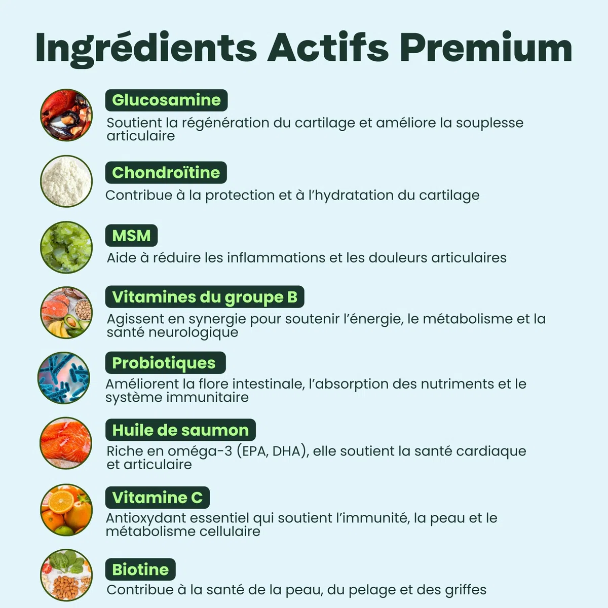 BESTI - 8 en 1 | 120 Compléments Alimentaires Premium Multi-Vit pour Chiens | Vitalité, Probiotiques, Articulations, Pelage, Coeur, Cerveau | Marque Française - Formule Vétérinaire | Au Poulet | 300gr
