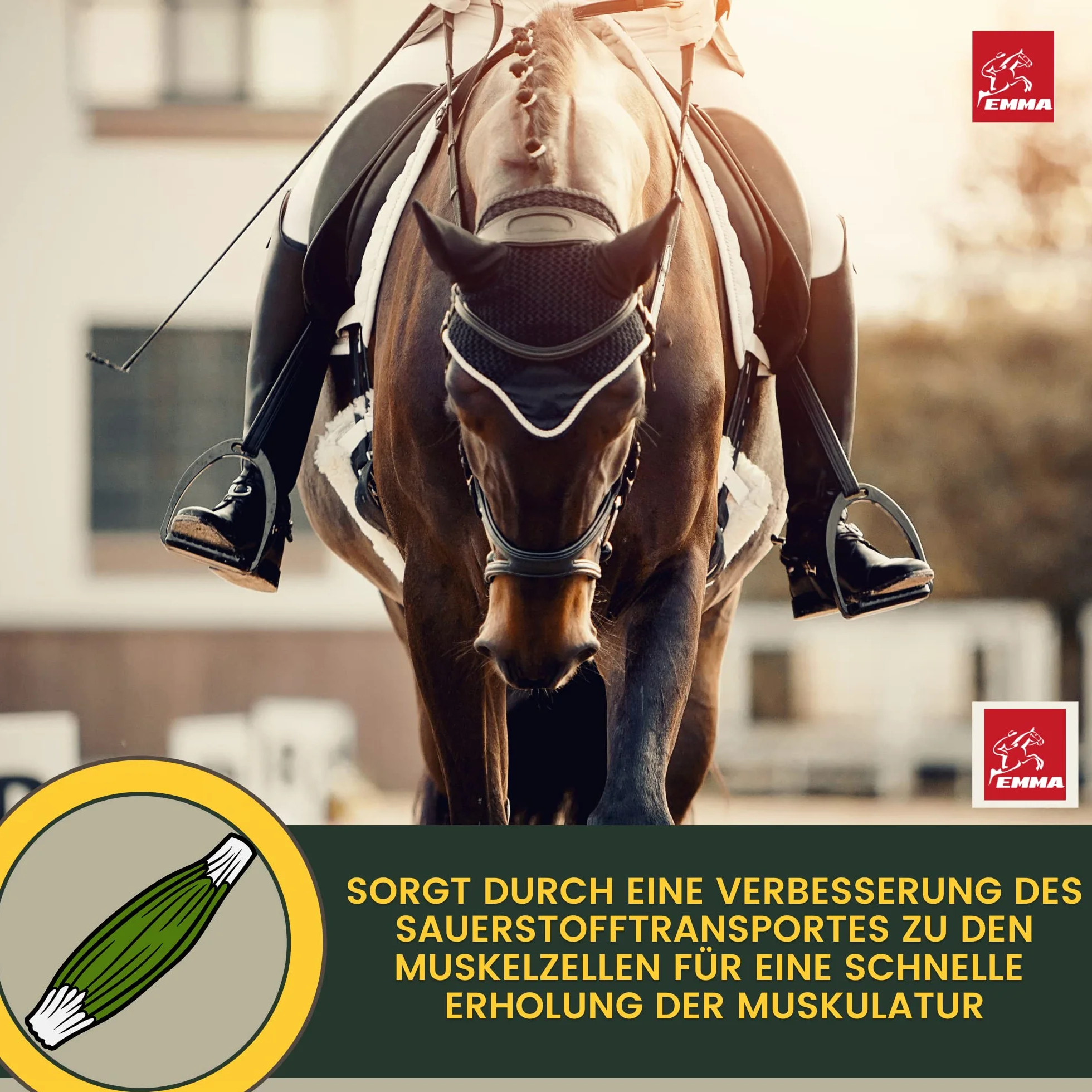 Acides Aminés Musculation Cheval - pour des Entrainements Efficaces - Performance Pate d'acides aminés Vitamine E Renforcement récupération Musculature Régénération énergie pour Muscles Chevaux 30ml