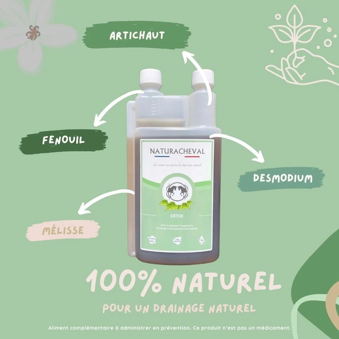 Drainage Cheval & détox – Complément Naturel pour éliminer Les toxines – Soutien Foie & Reins – Cure saisonnière – Formule Plantes