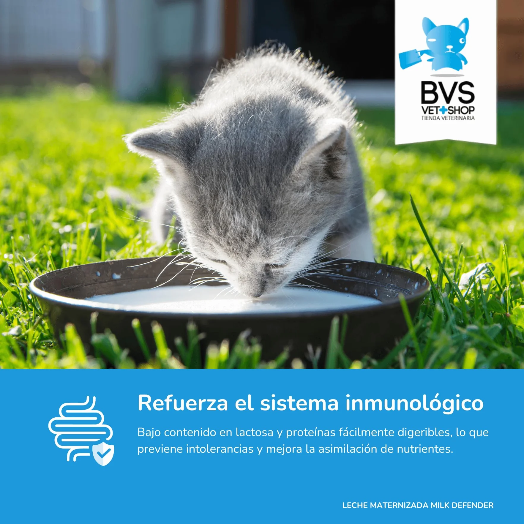 BVS Vet Shop | Lait maternisé Milk Defender pour Chatons | Aliment Complet pour l'allaitement Maternel pour Le Soin Optimal des Chatons | 1 unité x 140 g