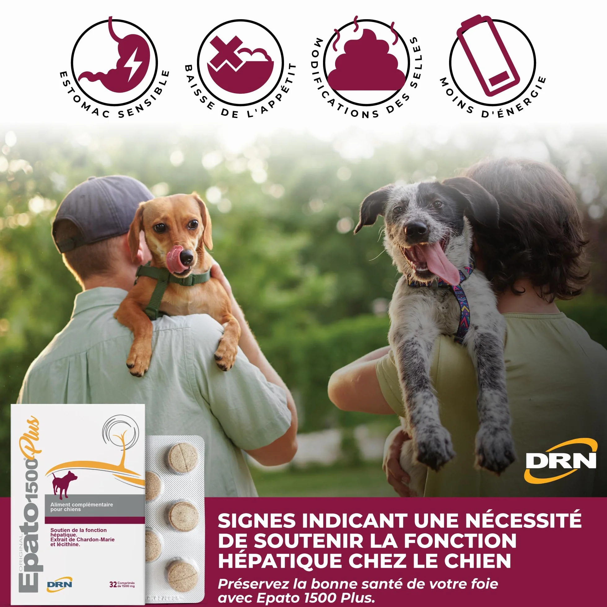 Complément hépatique pour Chien | Extrait de Chardon-Marie et Lécithine | Prébiotiques MOS et FOS | Soutien de la Fonction hépatique | 32 Comprimés de 1500 MG