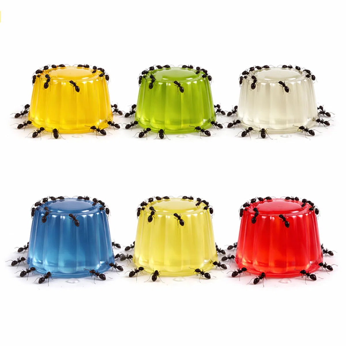 Nourriture pour Fourmis, friandises énergétiques aux arômes naturels, complément Alimentaire pour Reptiles, Oiseaux et rongeurs. Saveurs : Fraise, Banane, Melon, Orange, Miel et Yaourt.