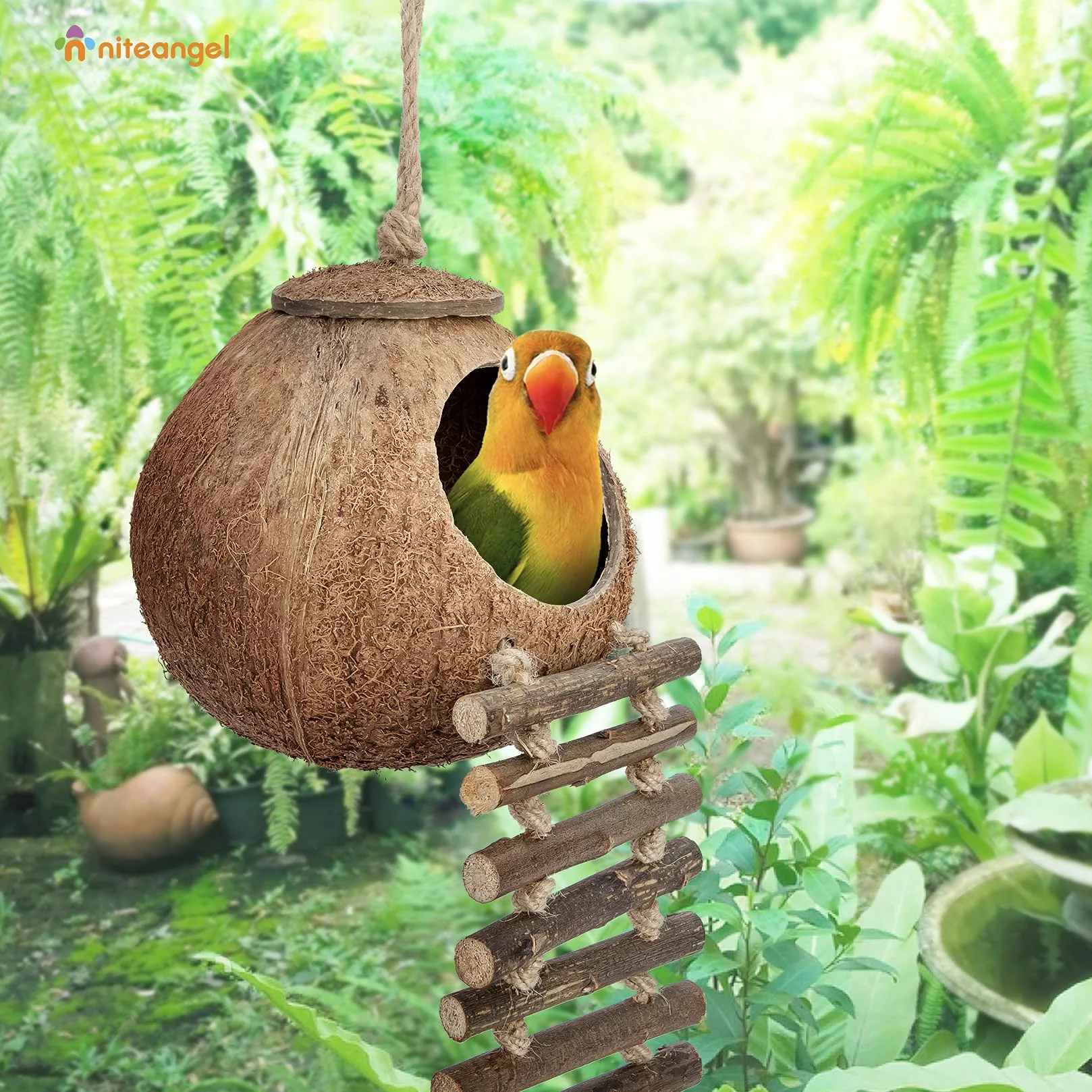 Niteangel® Nid d'oiseau naturel Coconut Hideaway avec échelle, jouet pour oiseaux et petits animaux