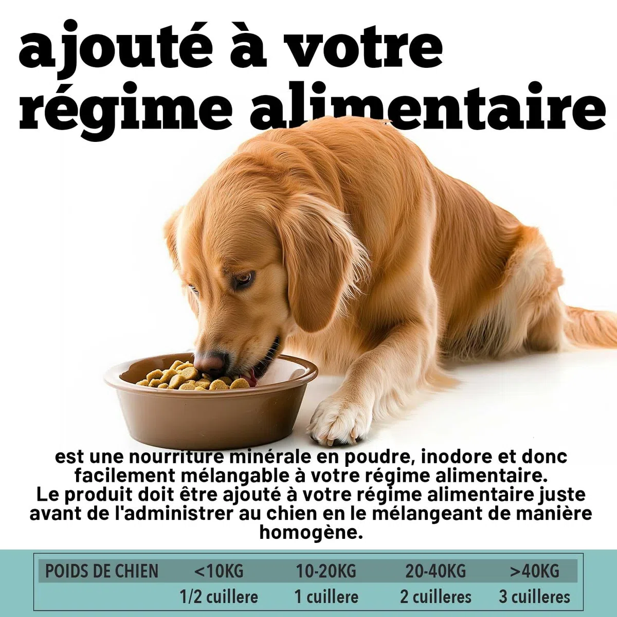 Multivitamines pour Chiens | Équilibre la Diète Maison et Barf | 12 Vitamines + 10 minéraux | avec Algue Spiruline | en Poudre | 220g