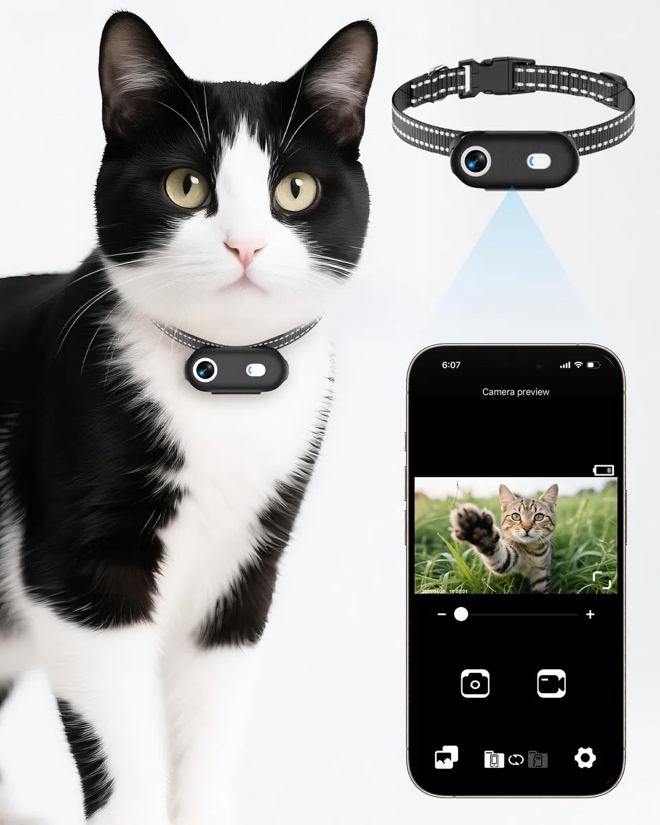 Collier pour caméra pour chat avec application pour téléphone, enregistrement vidéo HD 1080p, caméra POV pour chiens et grands chats, collier sans fil avec visualisation de l'application (collier XS)