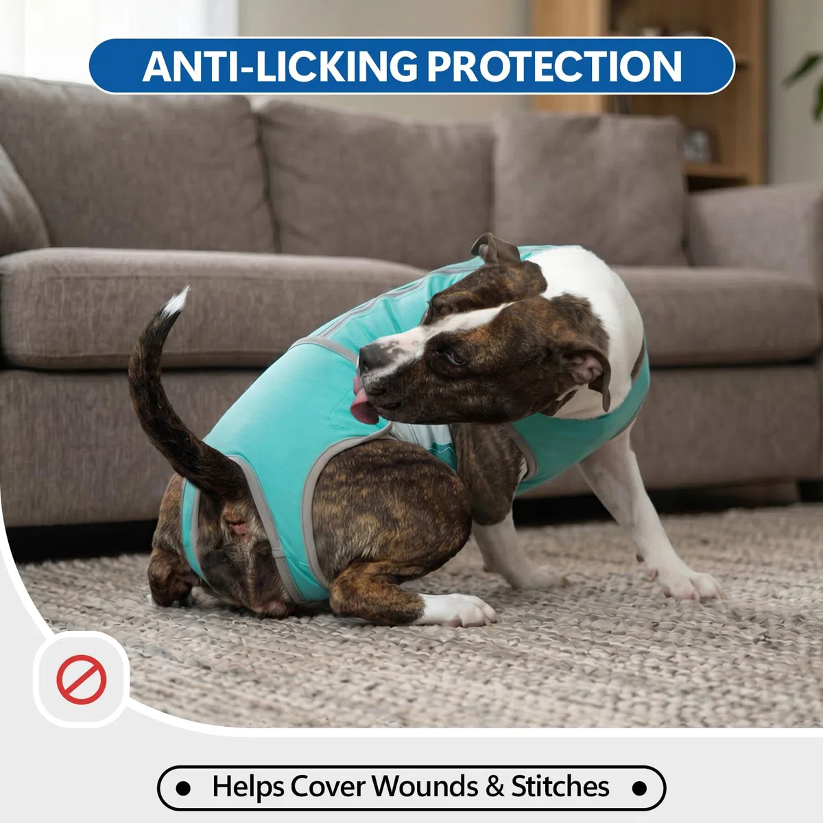Body Chien Après Opération, Body Post-Opératoire en Coton Doux avec Fermeture Éclair, Combinaison Médical Anti-Léchage, Alternative à la Collerette pour Chien Mâle et Femelle, Bleu Aqua L