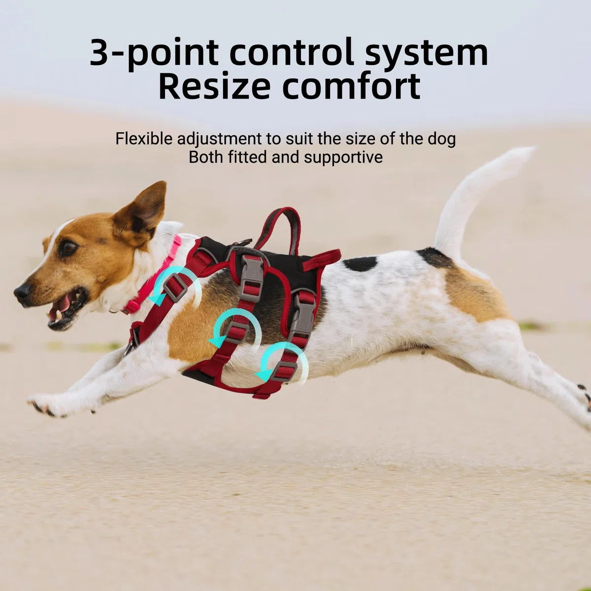 Harnais Anti Traction pour Chien - Arnet Réfléchissant Reglable Harnet en Y Harnais Canicross Chien pour Chiot Petit et Moyen Chiens, Noir + Anneau de Poitrine, L