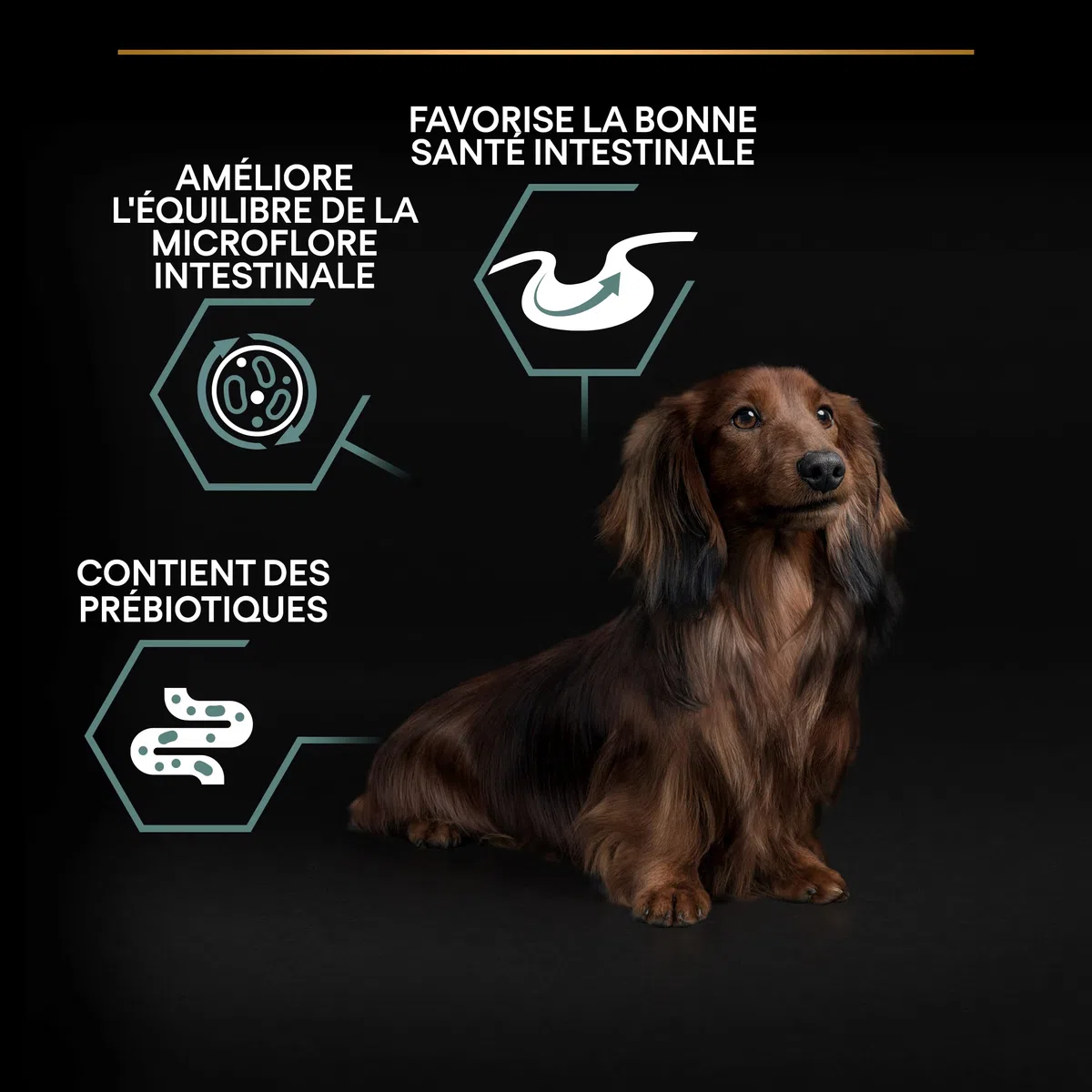 PURINA PRO PLAN | Sensitive Digestion | Croquettes complètes pour chiens adultes de petite taille | Favorise un système digestif sain | Riche en Agneau | Sac | 3 Kg