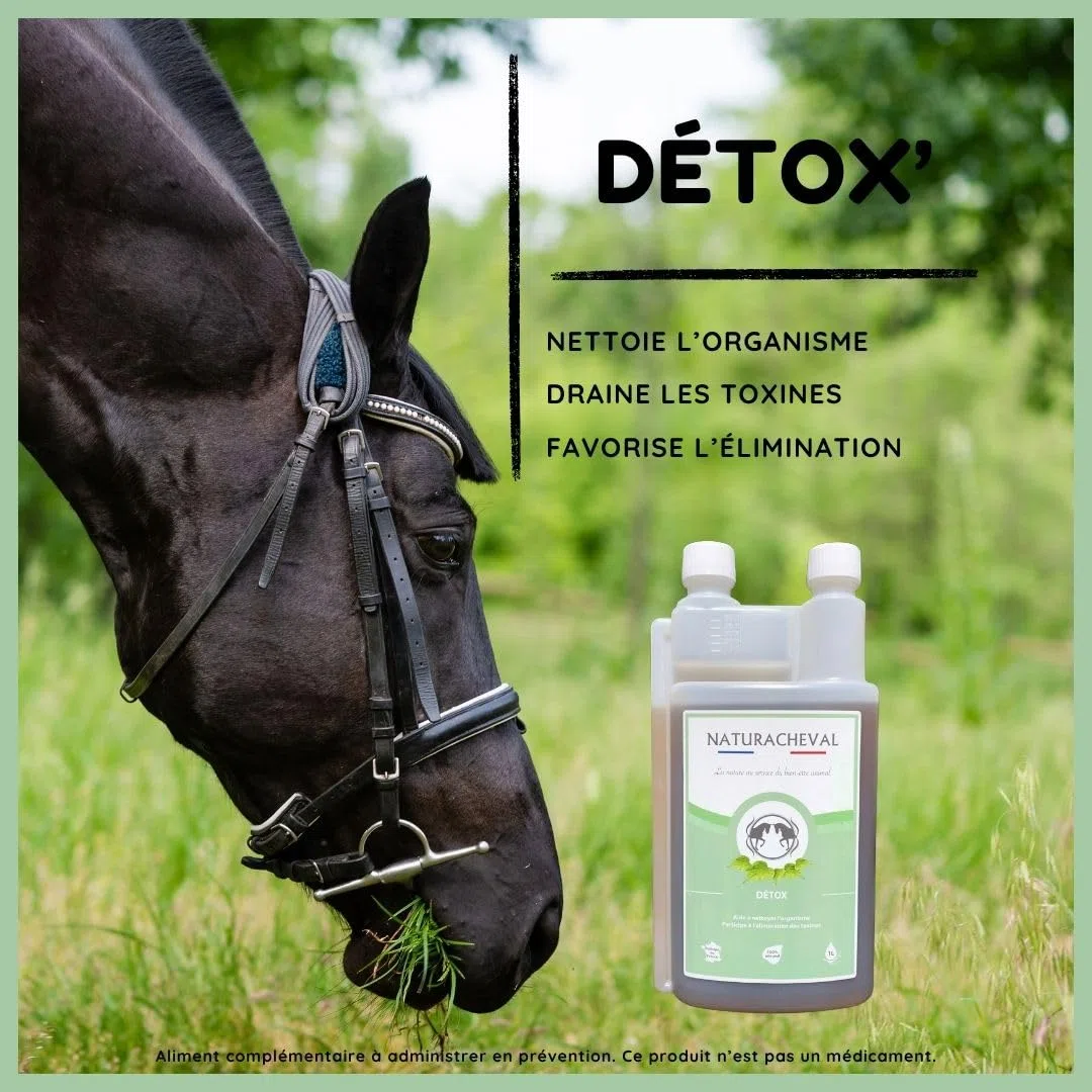 Drainage Cheval & détox – Complément Naturel pour éliminer Les toxines – Soutien Foie & Reins – Cure saisonnière – Formule Plantes