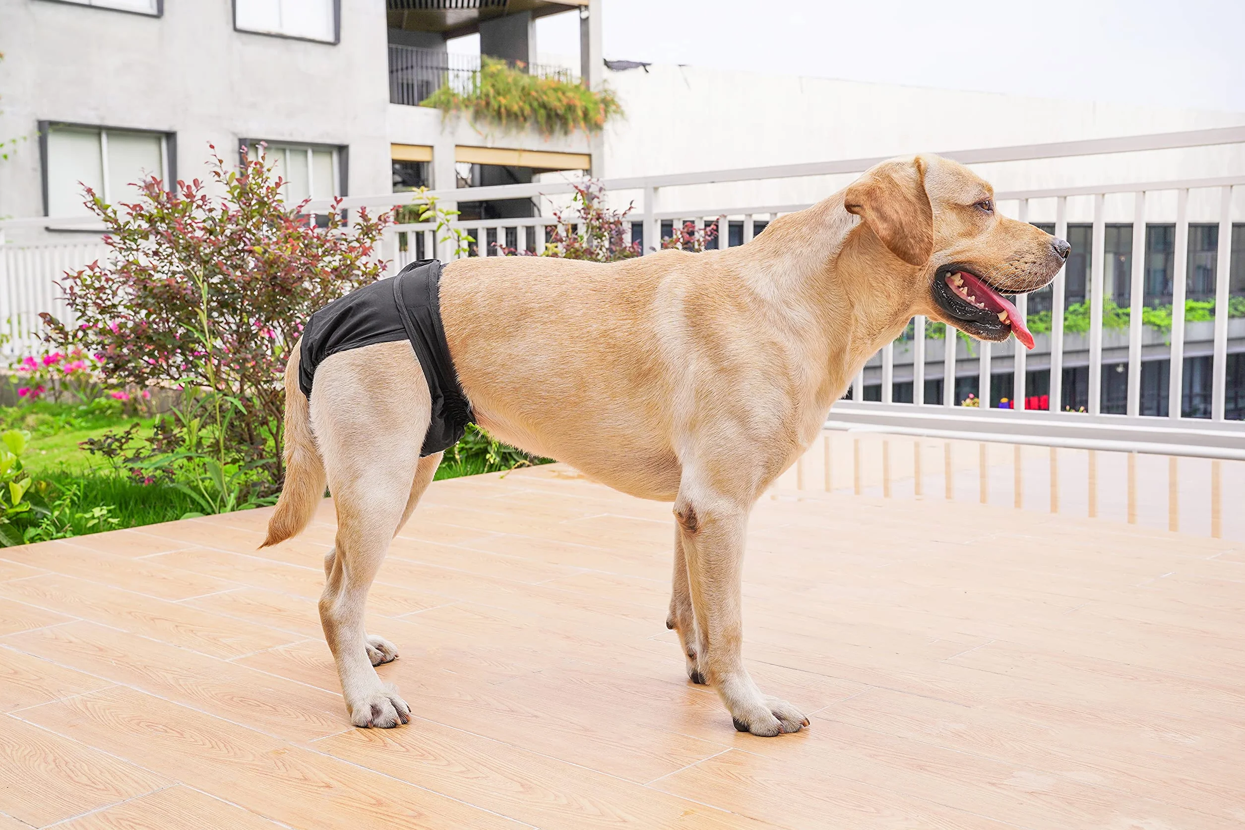 Couches Lavables pour Chiennes, sous-vêtements Hygiéniques pour Chiens en Chaleur, 5 Tailles XS à XL, Convient à Toutes Les Chiennes (XL: 60-82cm, 3-Packs)