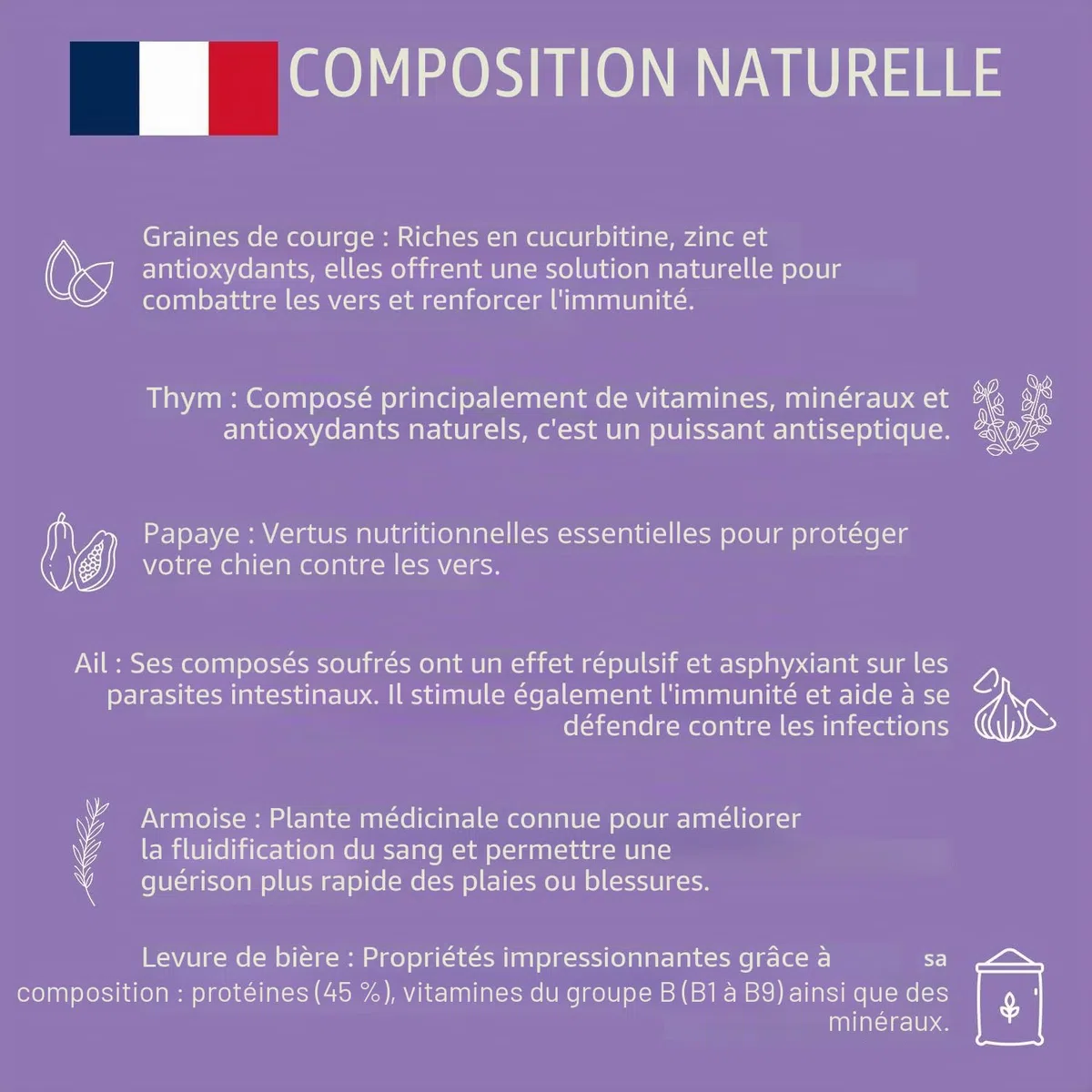 NEOVETO - Vermipurge - Vermifuge pour Chien en comprimés naturels - Actifs agréés par Les Services Vétérinaires Français - Fabriqué en France - Facile à administrer - 30 comprimés (Version espagnole)