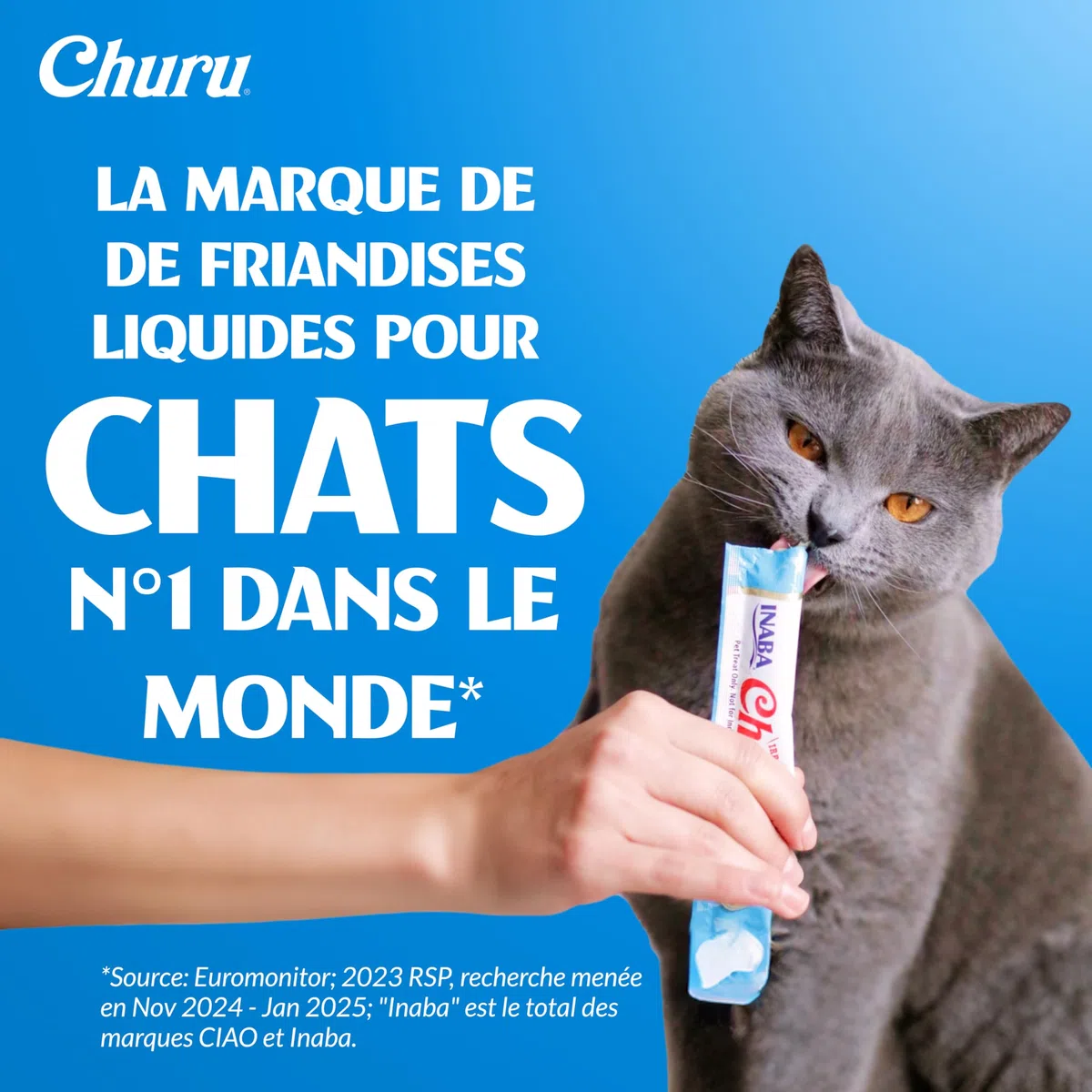 INABA Churu - Friandises pour Chats en Purée aux 4 Saveurs de Thon - Délicieux Snacks pour Félins - Texture Lisse et Onctueuse - Nourriture pour Chats - 40 Tubes x 14g