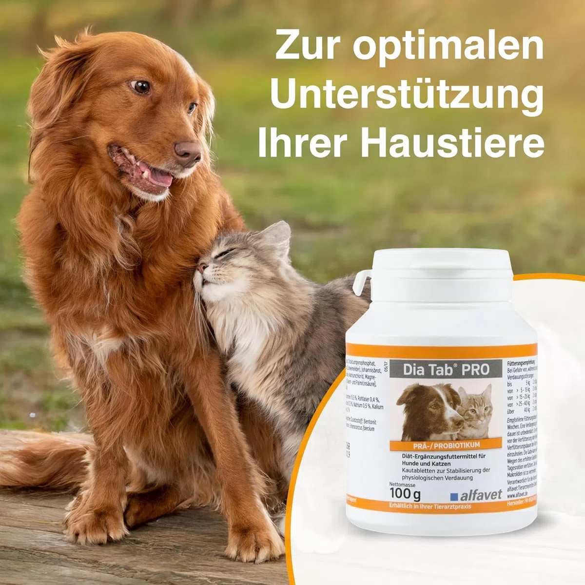 Alfavet Dia Tab Pro - boîte de 2 x 100 g - complément Alimentaire diététique pour Chiens et Chats - prébiotique probiotique - Environ 100 comprimés à mâcher