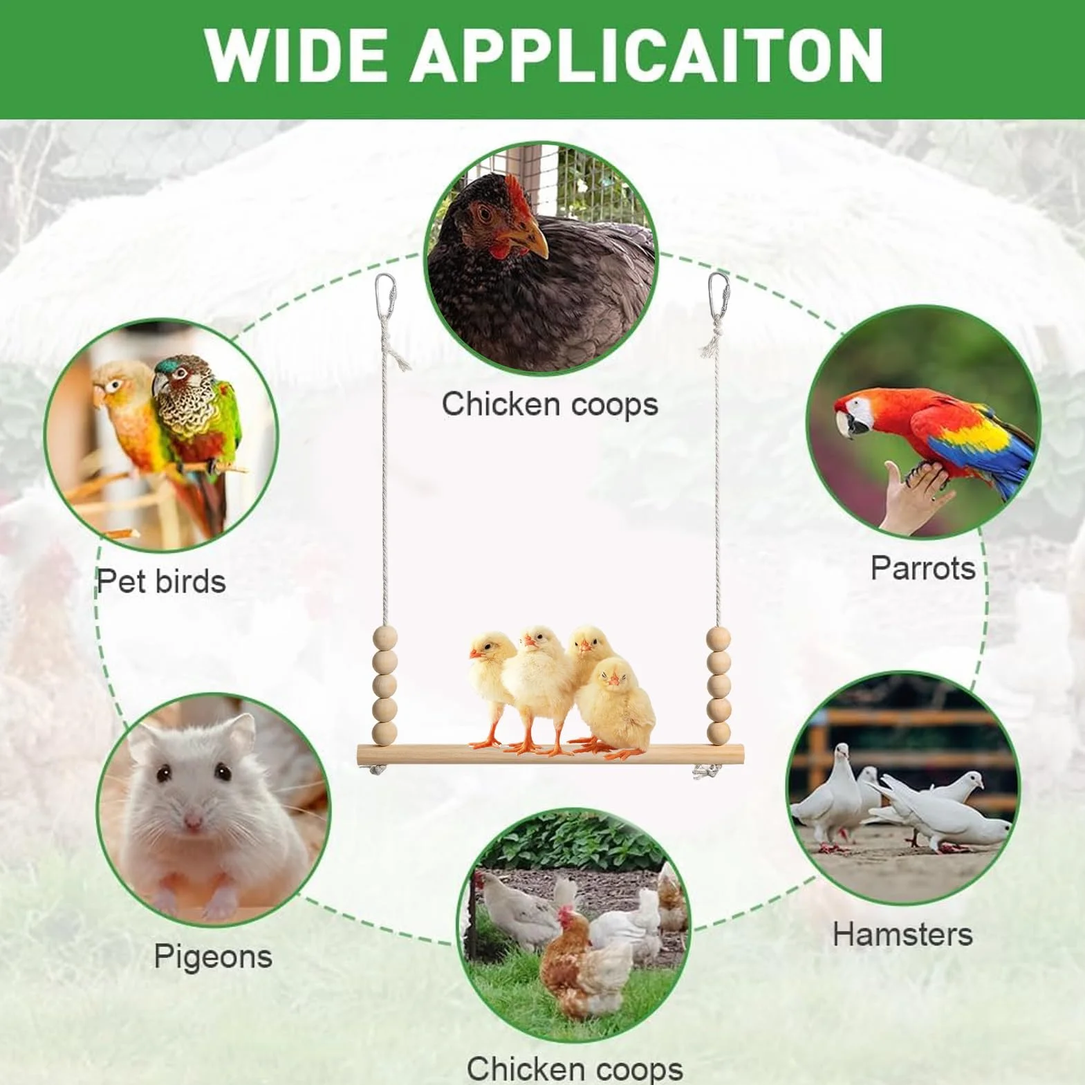Jouet Balançoire pour Poules, en Bois Naturel pour Volailles | Perchoir Échelle Stable Sécurisé Enrichissement Jeu Repos Volaille Basse-Cour Ferme