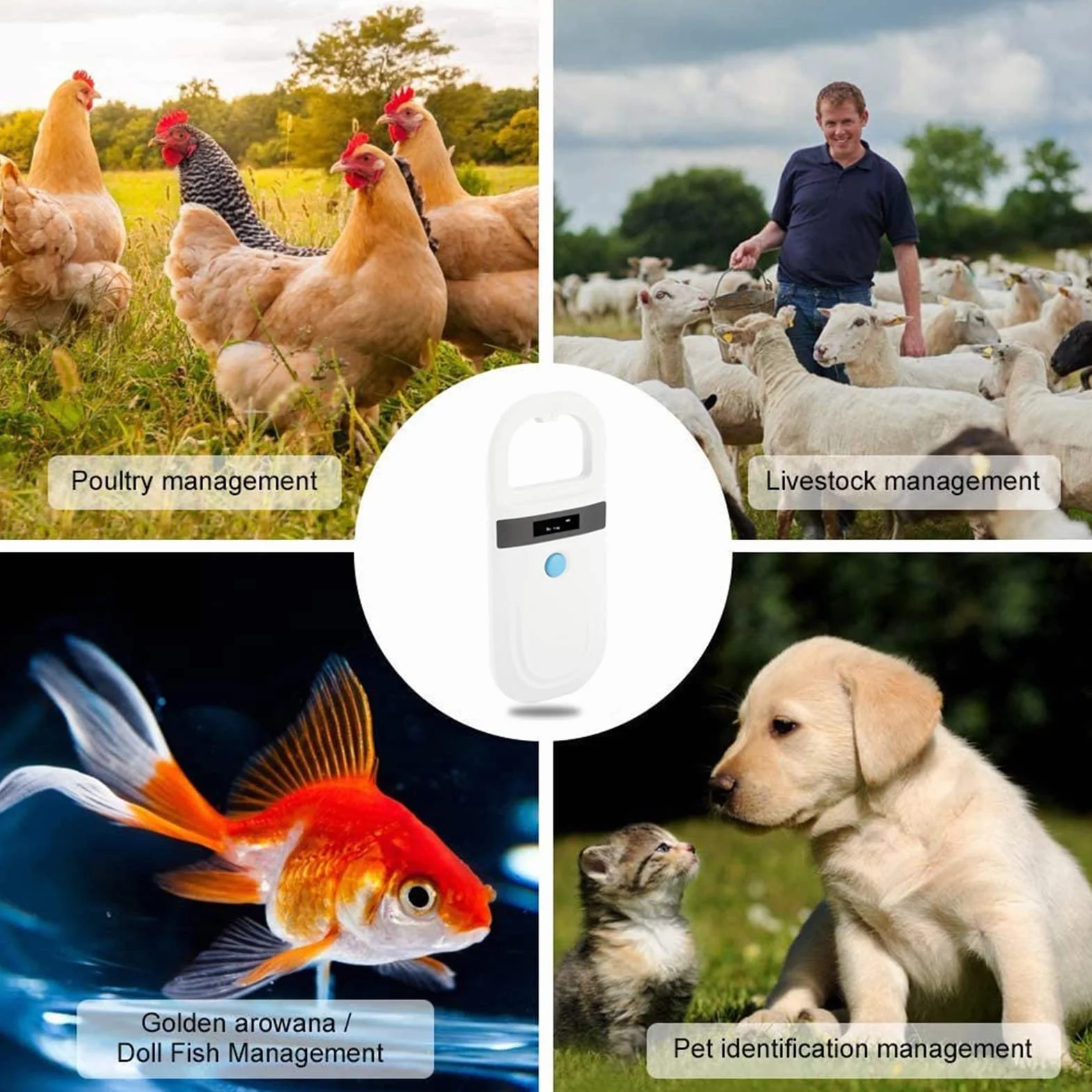 Lecteur de Puces électroniques EMID 134.2Khz/125Khz Scanner de Puces Animales Rechargeable Standard Scanner D'identification de Puces pour Animaux de Compagnie FDX-B (ISO 11784/11785), pour Animaux/an