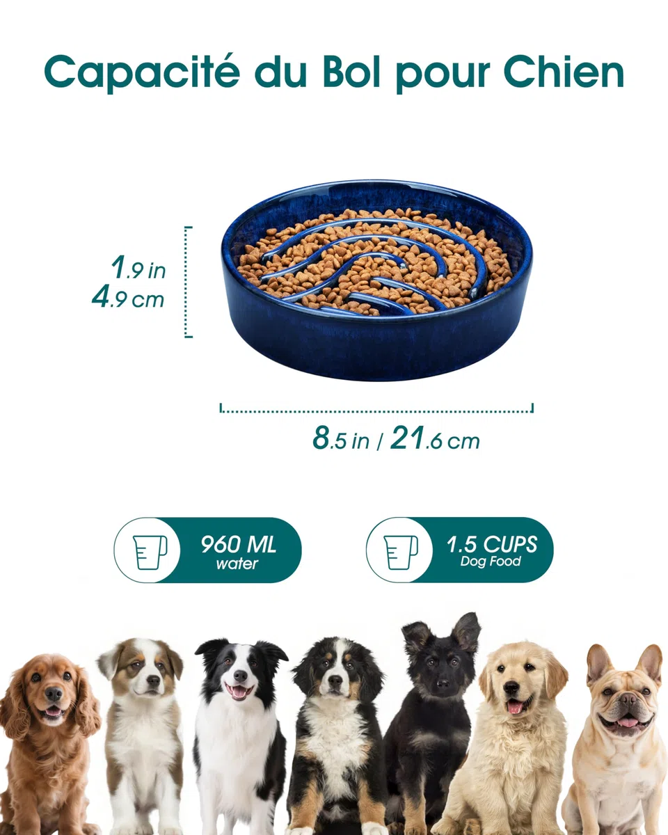 vancasso Gamelle Anti Glouton pour Chien, 960ml Gamelle pour Moyen Chien, Gamelle Chien Céramique Favorise Alimentation Saine et Digestion Lente, Bleu