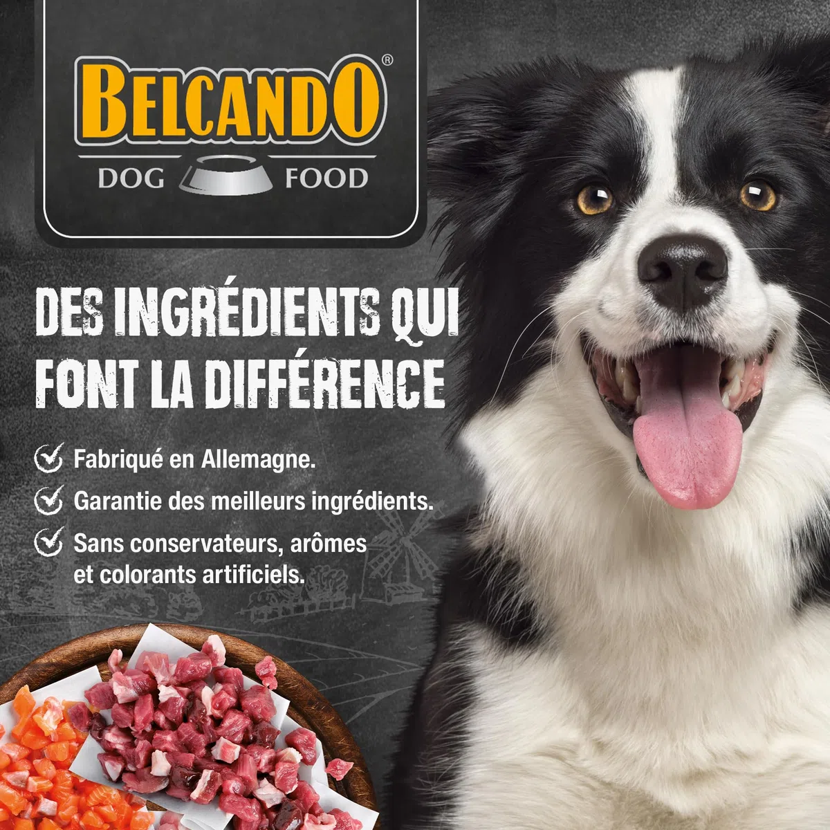 Belcando Super Premium Boîte 6 x 400 g Agneau avec Riz et tomates | Nourriture Humide pour Chiens | Aliment Humide pour Chiens de Toutes Races