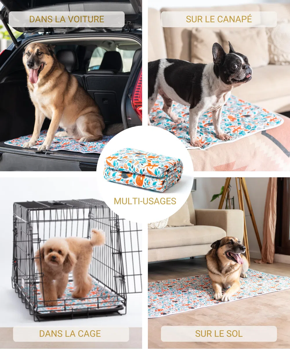Tapis Absorbant Lavable pour Grands Chiens XXL - 2X Plus absorbants - Tapis de propreté imperméable et réutilisable - Alèse Chiots - Pipi Pad éducateur antidérapant, Anti-odeurs - 90x160cm