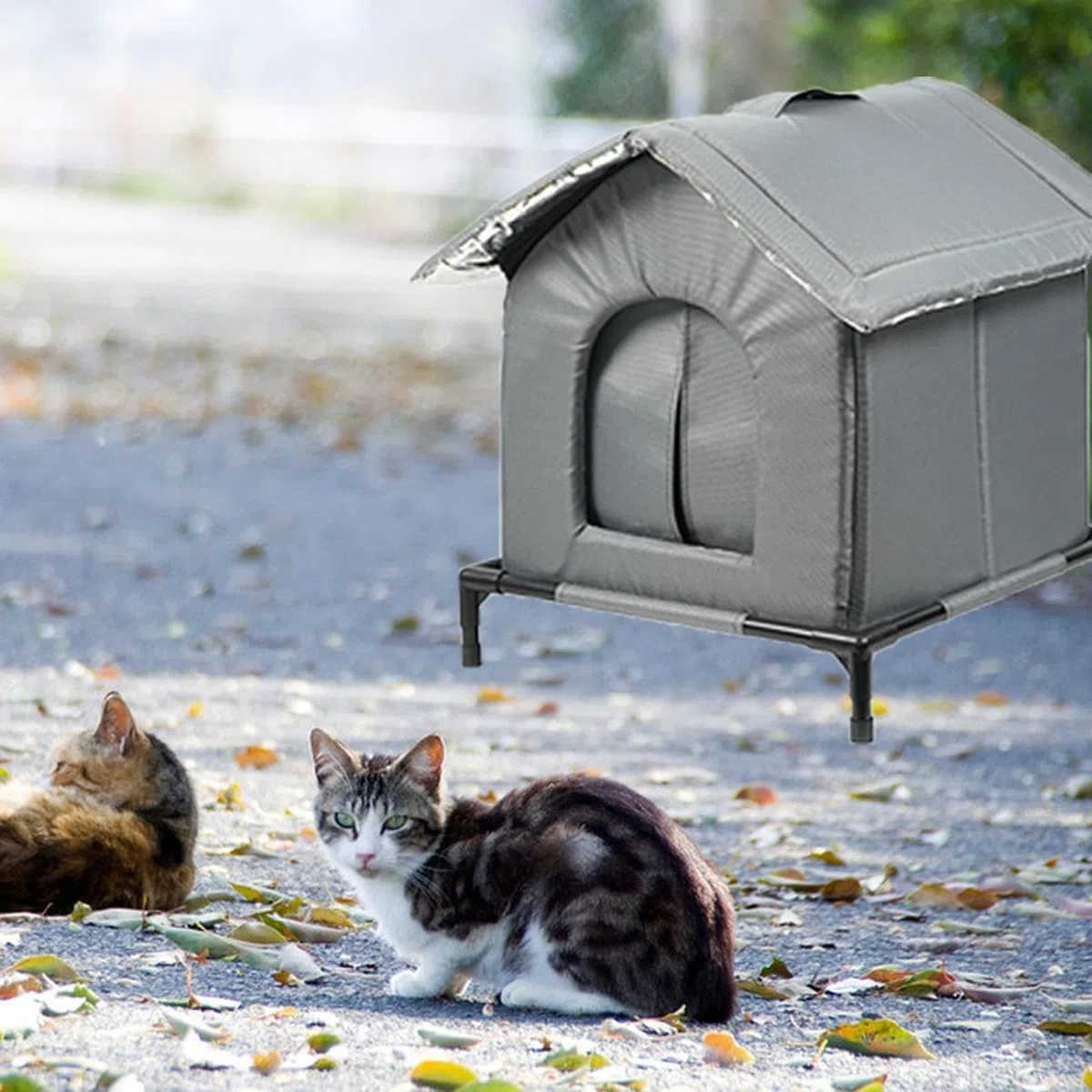 Gralara Niche pour Chat, Abri et Refuge Maisonnette d'Extérieur Chaude avec Coussin Doux et Support Surélevé, Niche pour Petits Animaux Extérieur Hiver, Adapté pour Chats, S