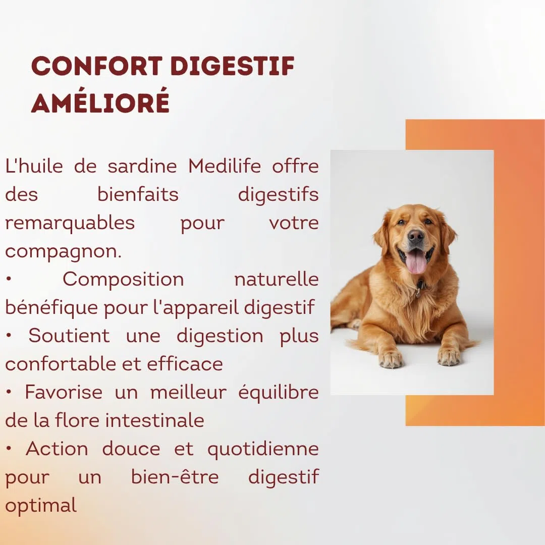 1L Huile de Sardine 100% Naturelle pour Chiens, Chats et Chevaux, Très Riche en Oméga 3-6-9 et Vitamines E | Fabriqué en UE