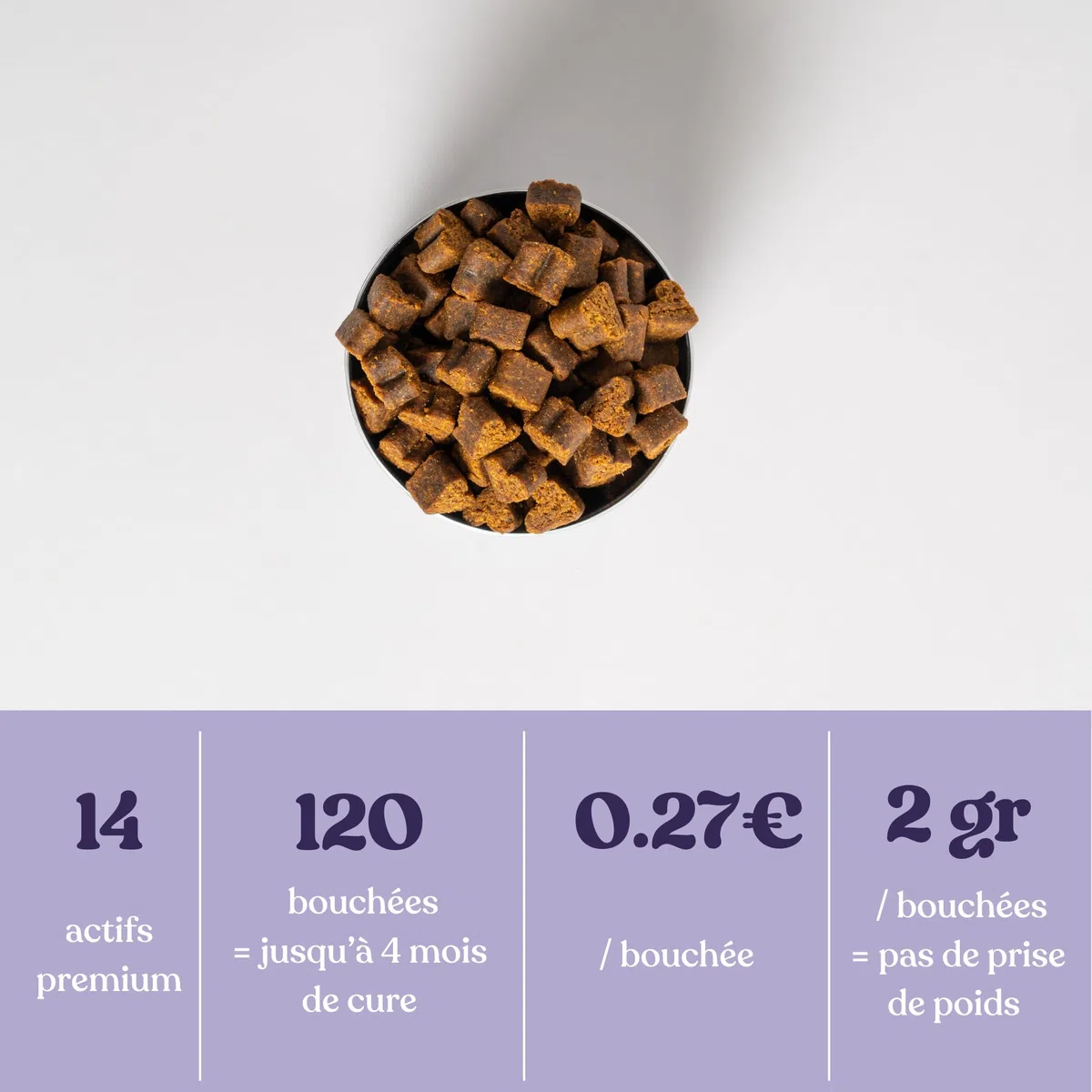 Anti-stress chien - 13 Actifs puissants naturels - Calmant pour chiens stressés, anxieux, réactifs, chiens hyperactifs - 120 compléments apaisants - Complément alimentaire chien - Nouvelle formule