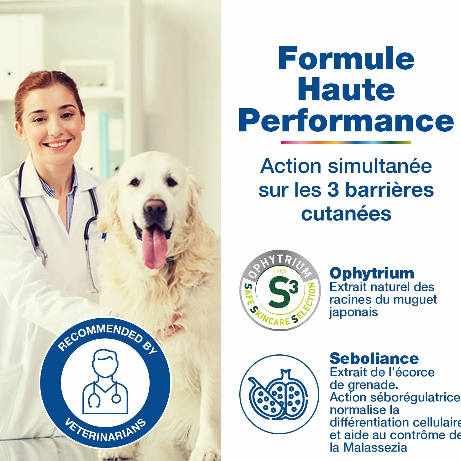 DOUXO S3 SEB Shampooing Anti-Odeur et séborégulateur, pour Chiens et Chats avec des pellicules, Poils Gras et Mauvaises odeurs pour Chiens et Chats, 200ml