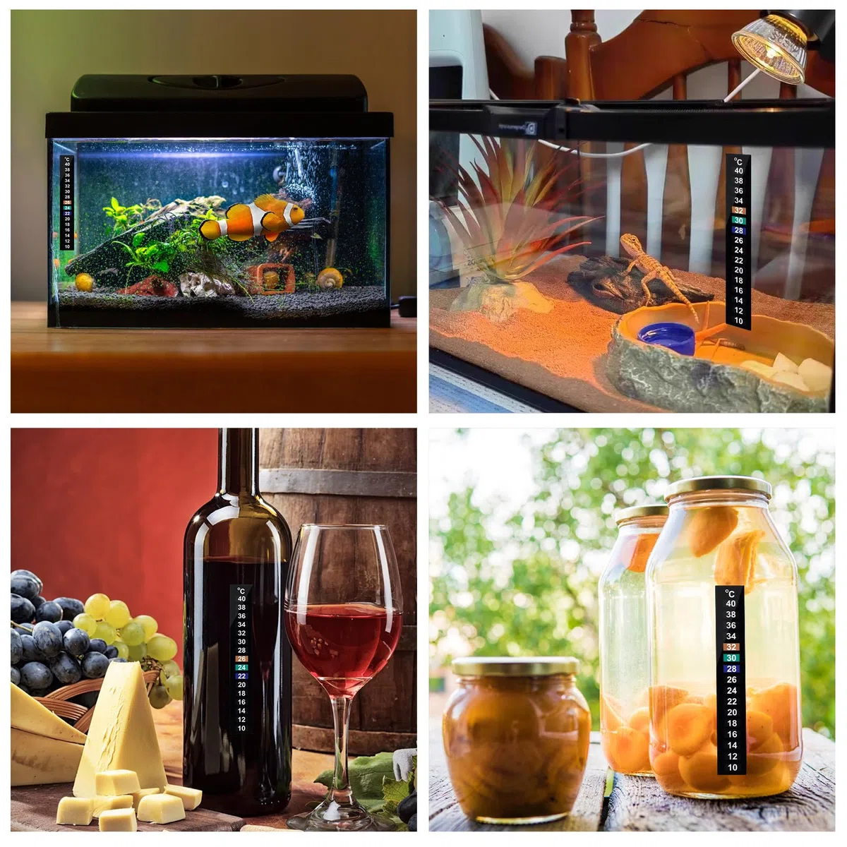 10pièces Thermomètre Adhésif Numérique Pour Aquarium Bande Thermomètre À Couleurs Changeantes Indicateur De Température Pour Vin Bière Et Kombucha