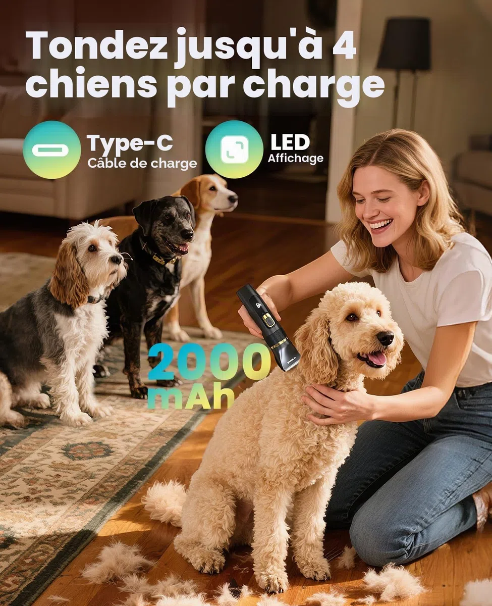 oneisall Tondeuse à cheveux silencieuse pour chiens et chats 2 000 mAh rechargeable IPX7 imperméable Barboncini