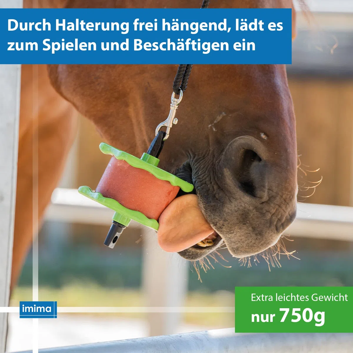 Lolly-Lick Lavande 750g