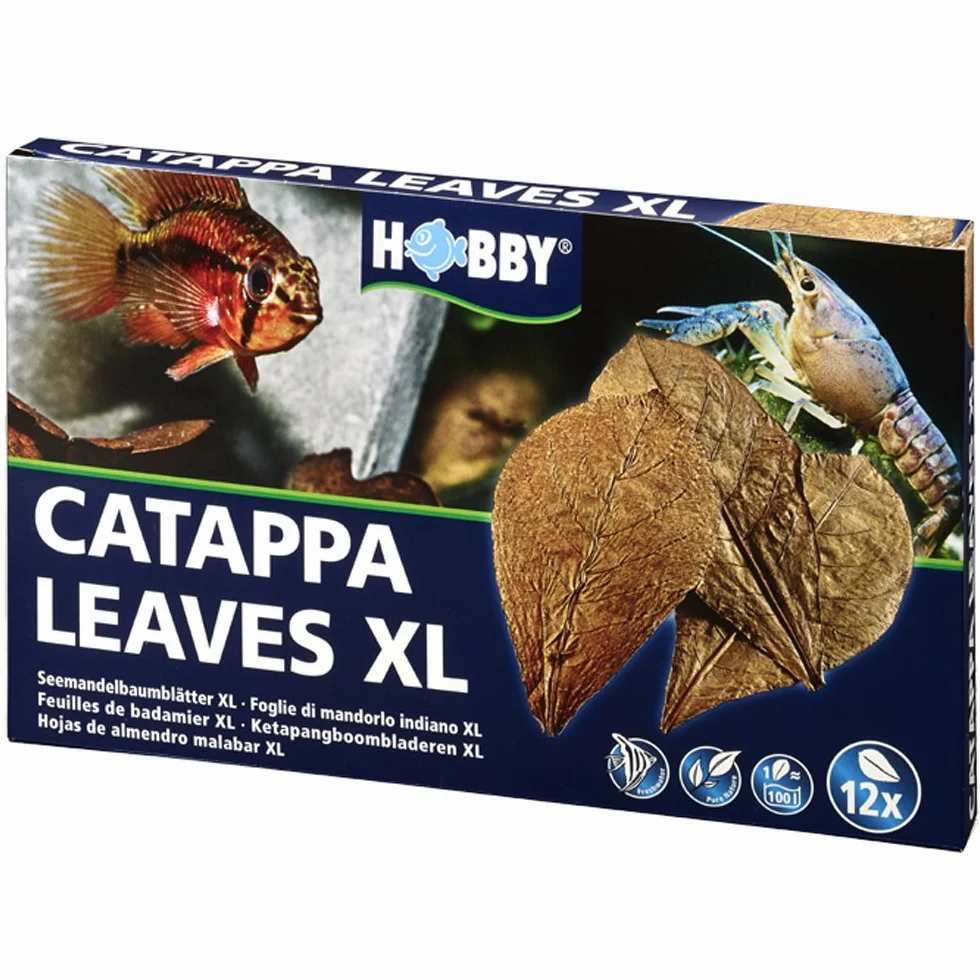 Hobby Catappa Leaves 51105 Lot de 12 Feuilles XL