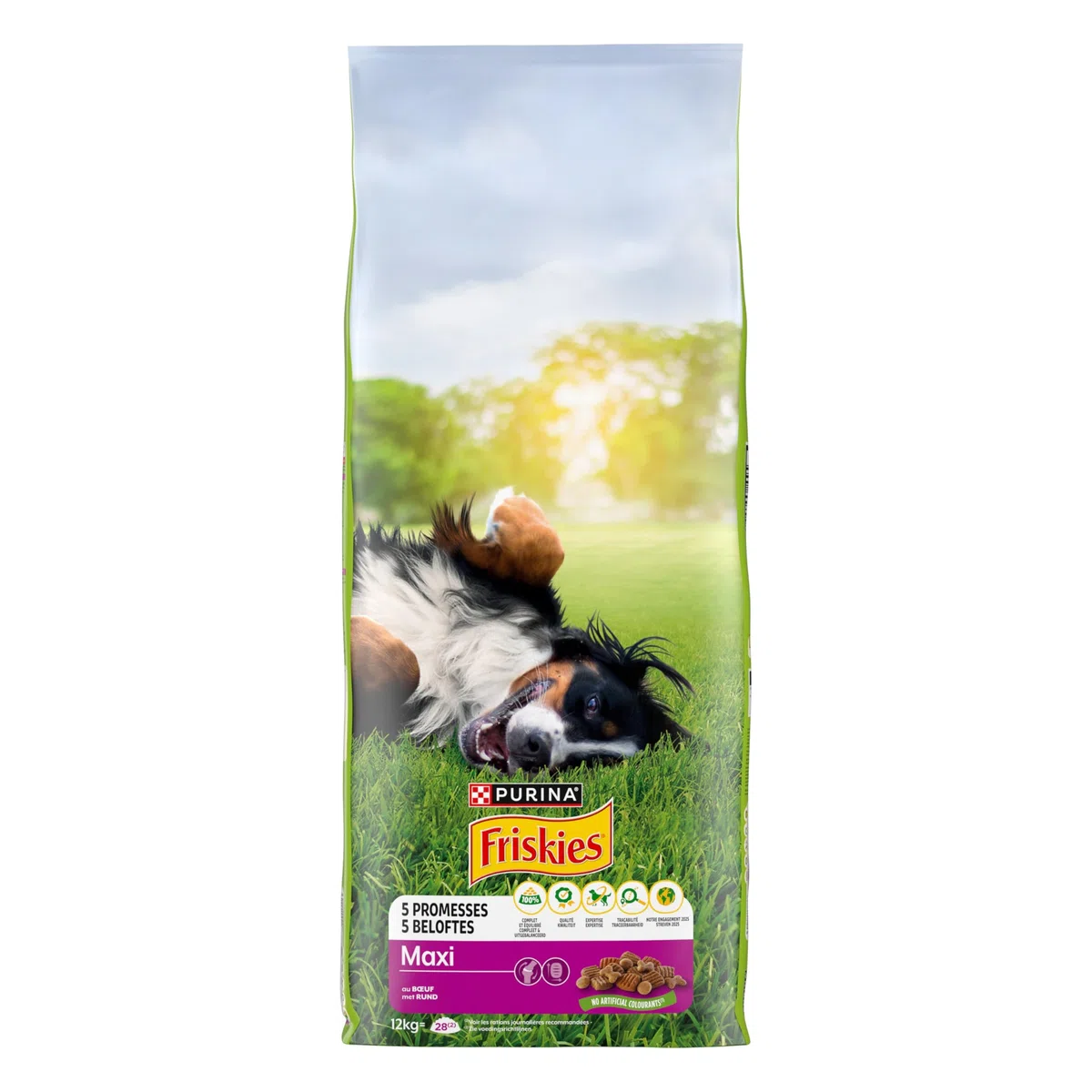 FRISKIES | Maxi | Chien | Croquettes pour Chiens Adultes de Grande Taille | au Boeuf | Source de protéines de Haute qualité | Sac | 12 KG