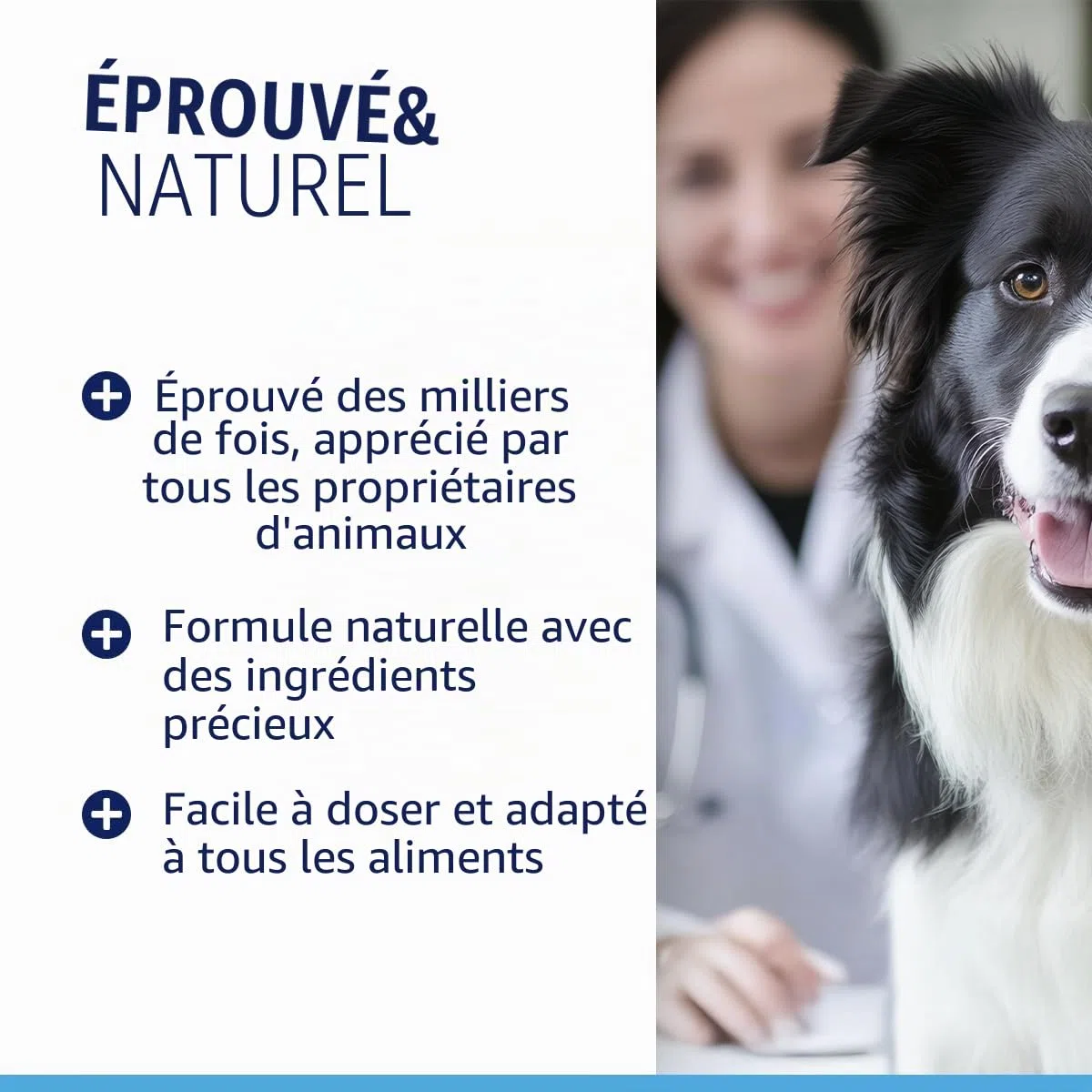 Animal Supply Vermifugeuse liquide liquide 50 ml - Cure secondaire pour tous les animaux de compagnie, chien, chat, recette naturelle, vermifuge secondaire, sans anthelminthique