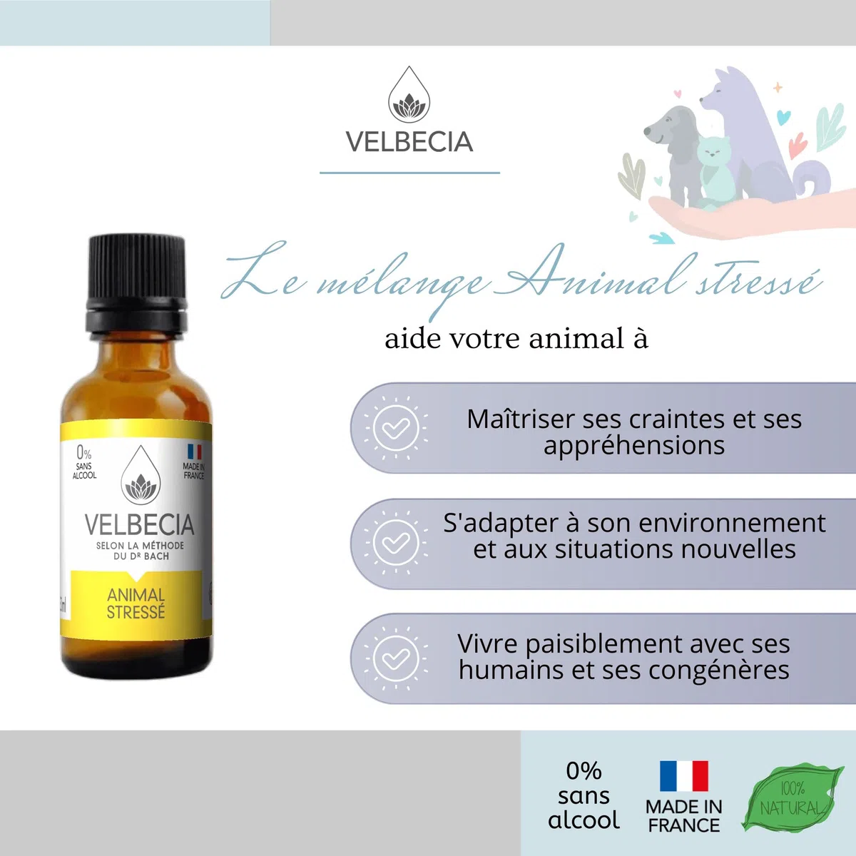 Velbecia® Animal stressé 30ml +1 OFFERT Elixirs de fleurs SANS ALCOOL - Méthode du Dr Bach - Apaise et calme votre animal