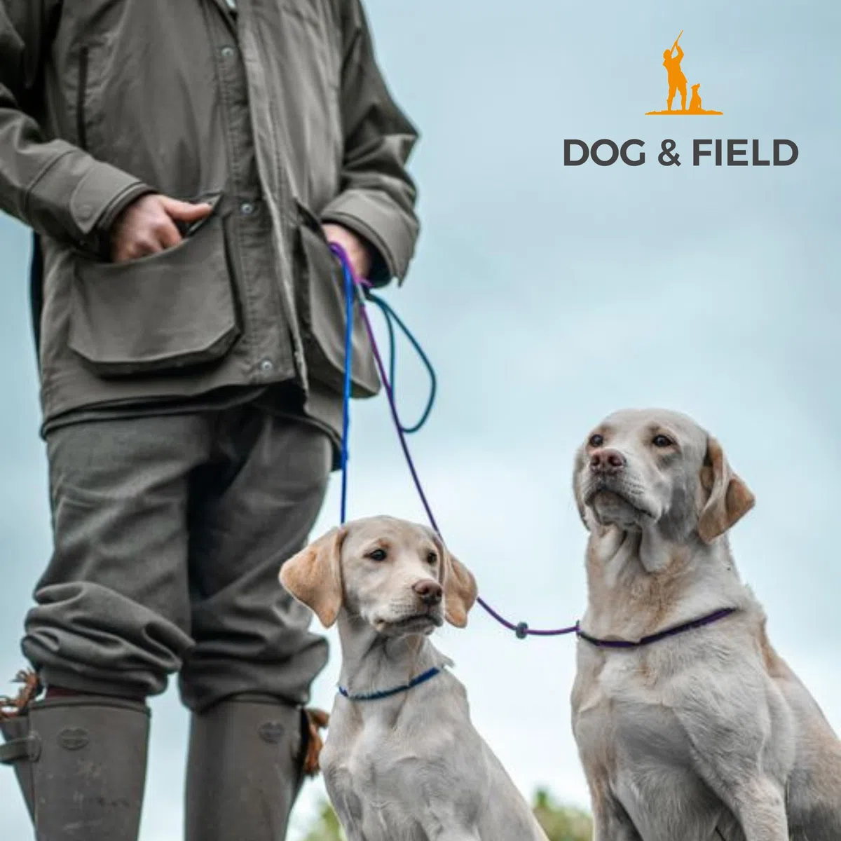 Dog & Field Signature - Laisse coulissante pour Chiens, Couleur Noire, Laisse légère de 1,2 m avec Bouchon en Caoutchouc Coulissant, Laisse d'entraînement pour Chiens, Laisse Fine coulissante, Pas