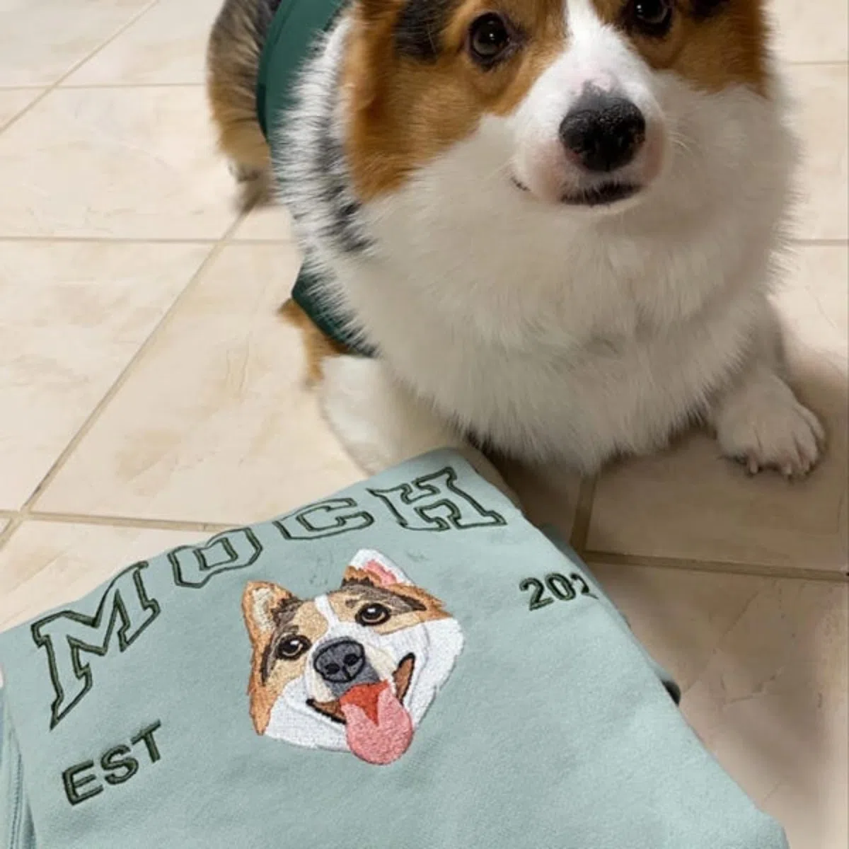 Sweat à capuche personnalisé pour animal de compagnie avec photo d'animal de compagnie + nom brodé - Sweat à capuche personnalisé pour chien - Pull à capuche personnalisé pour animal