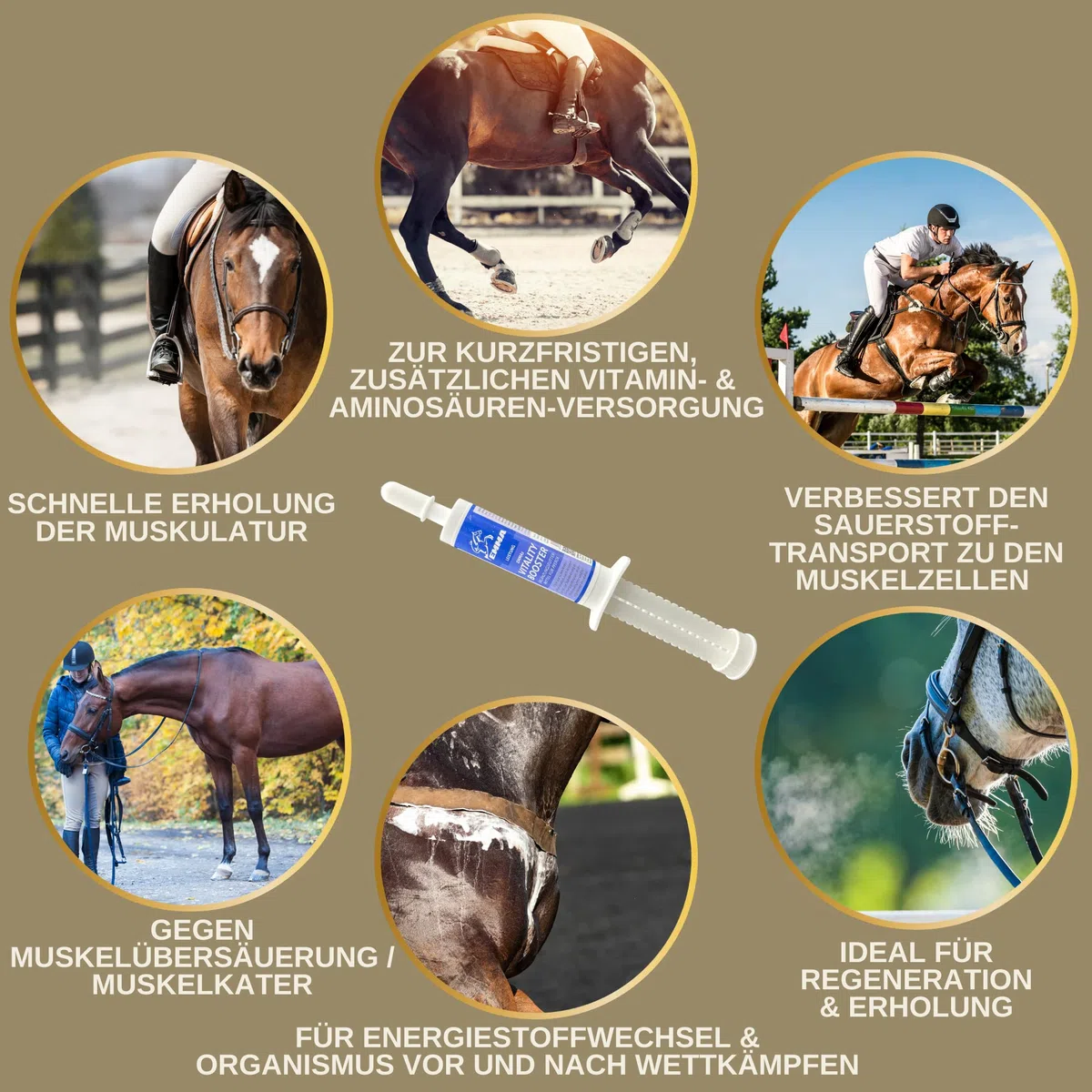 Acides Aminés Musculation Cheval - pour des Entrainements Efficaces - Performance Pate d'acides aminés Vitamine E Renforcement récupération Musculature Régénération énergie pour Muscles Chevaux 30ml