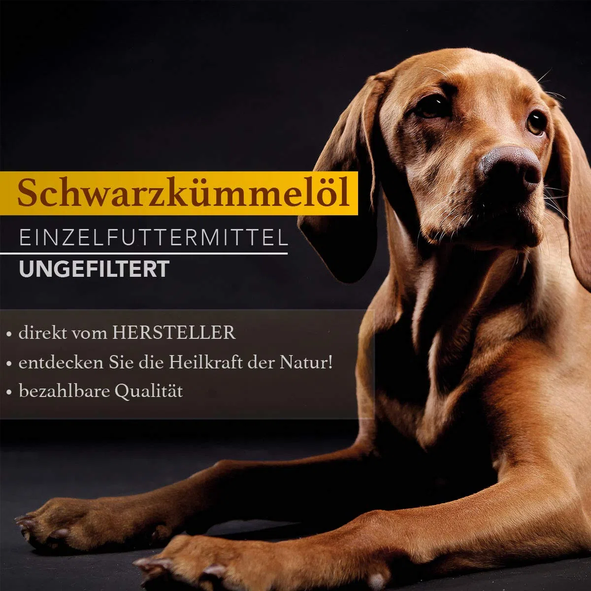 Naturzade Huile de nigelle - Matière première pour alimentation de cheval/chien - Flacon doseur 1 l