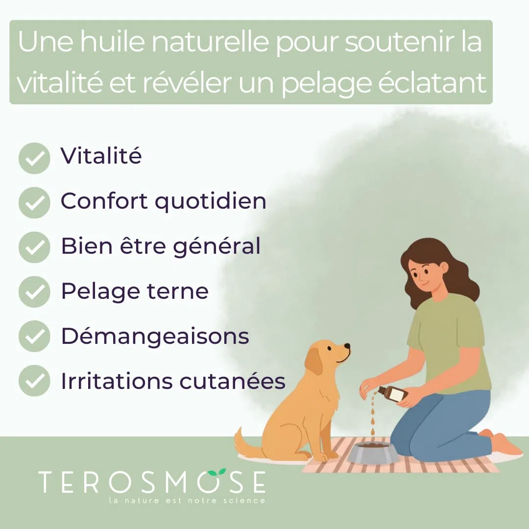 TEROSMOSE • Huile de Chanvre Premium pour Chiens & Chats - 100% Naturelle & Pure - Soutien Sérénité, Stress & Relaxation - Beauté du Pelage & Confort Cutané - Fabriqué en France