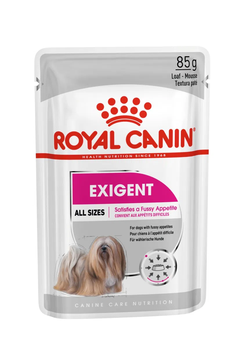 Royal CANIN Exigente Mousse | 12 x 85 g | Nourriture Humide pour Chiens Adultes à partir de 10 Mois | pour Chiens Difficiles | avec protéines de qualité supérieure