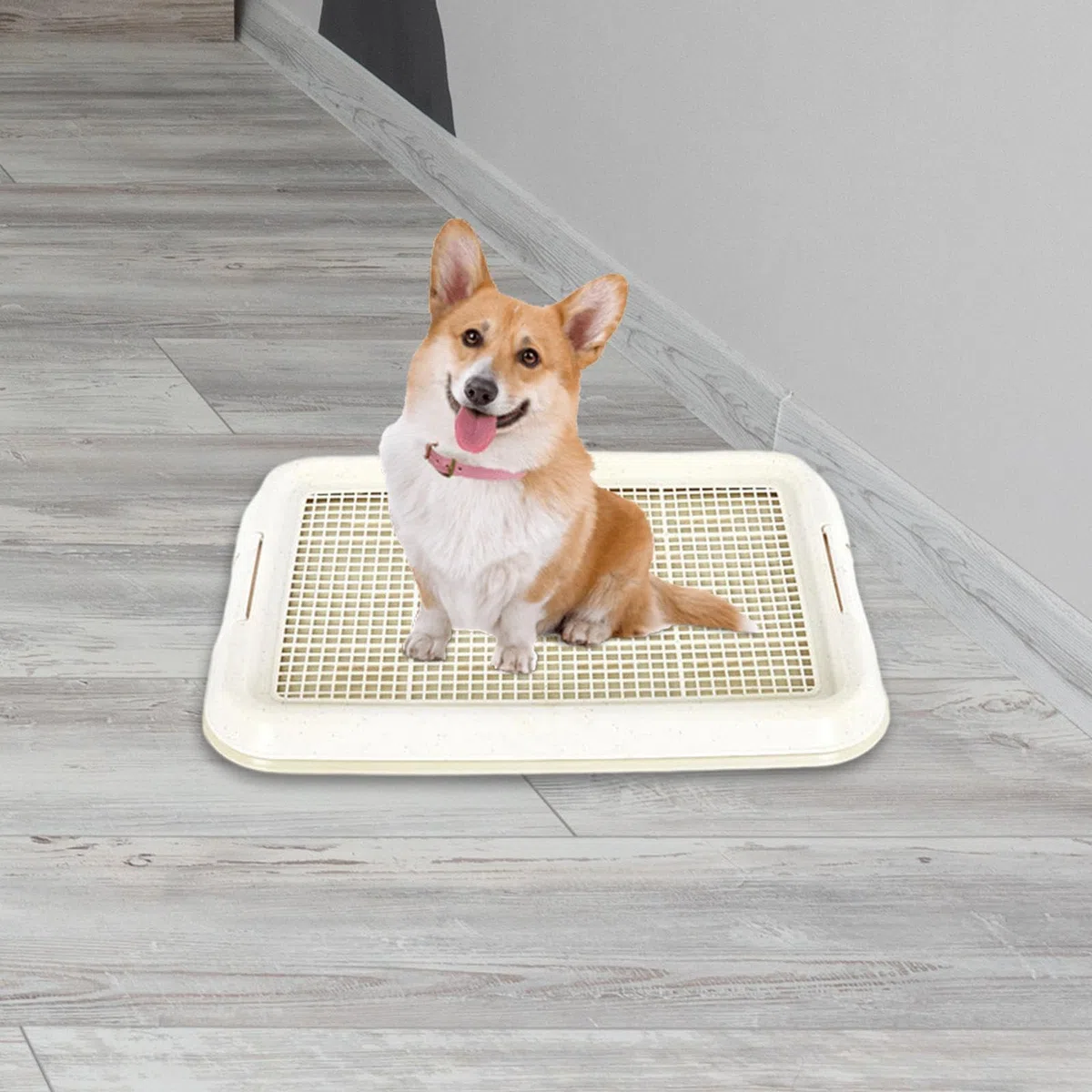MagiDeal Pot de Toilette pour Chien, Facile à Nettoyer, intérieur Amovible, antidérapant, litière pour Chien, Plateau d'entraînement en Maille pour Chiens de, Blanc