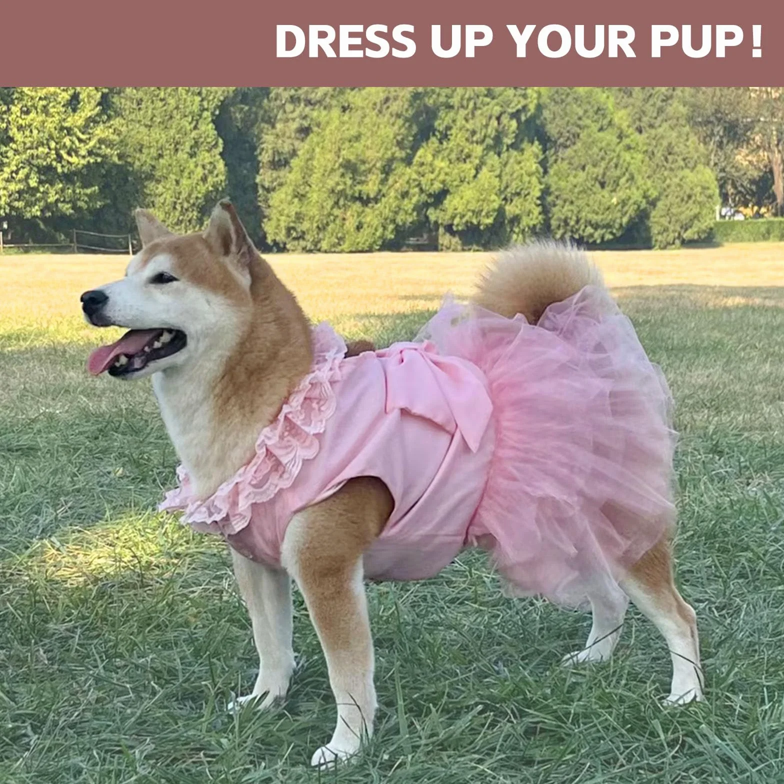 Robes pour Chiens de Grande Taille, Robe de mariée de Luxe pour Chien, Magnifique Costume de mariée avec nœud Papillon, Jupe de Princesse pour Chiens de Taille Moyenne, pour l'été, Les fêtes