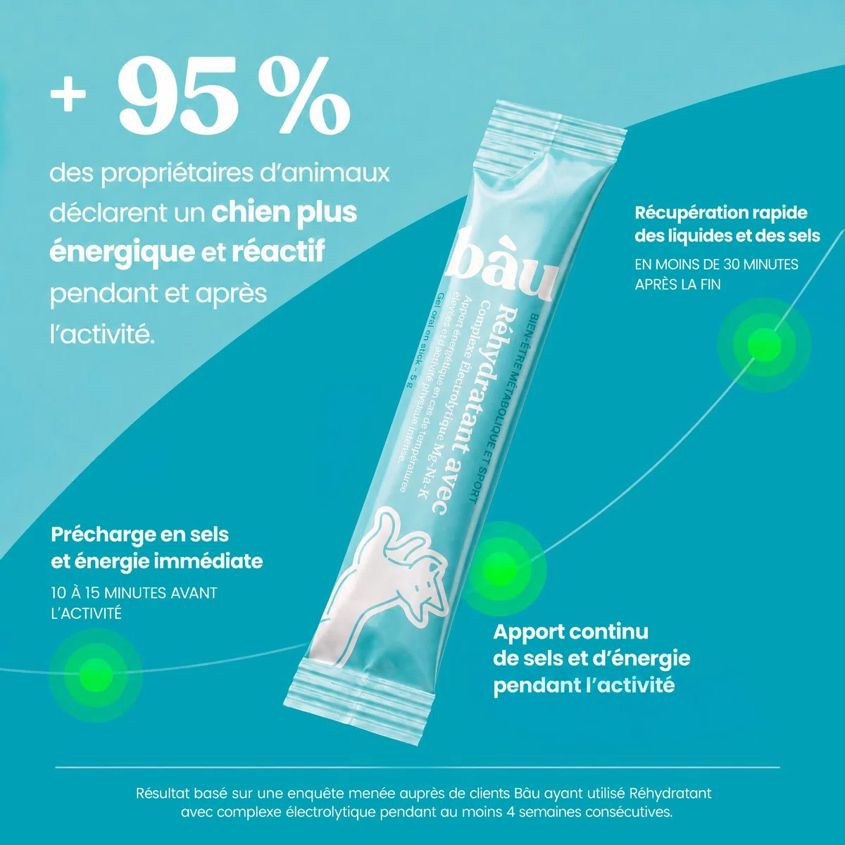BAU Réhydratant Électrolytique pour Chiens Sportifs – Idéal par Temps Chaud – Gel Énergétique avec Magnésium, Sodium et Potassium – Soutien Pendant l’Activité – Sticks Unidose