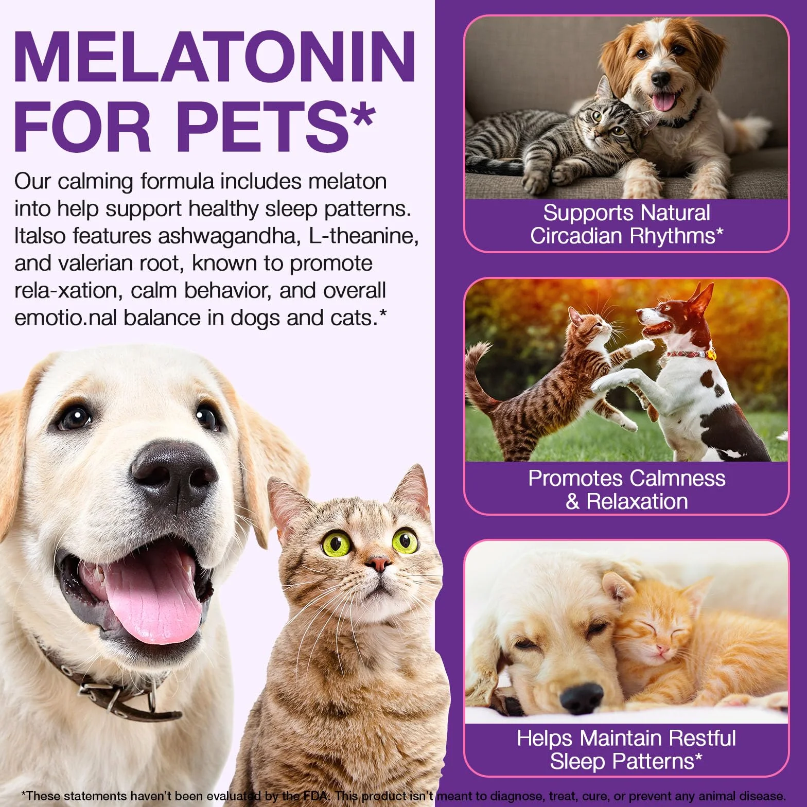 Mélatonine pour chiens, aide au sommeil pour chien, mélatonine pour chien, soutien à la relaxation et au sommeil profond, apaisant pour les chiens dans le bruit, feux d'artifice (60 ml)