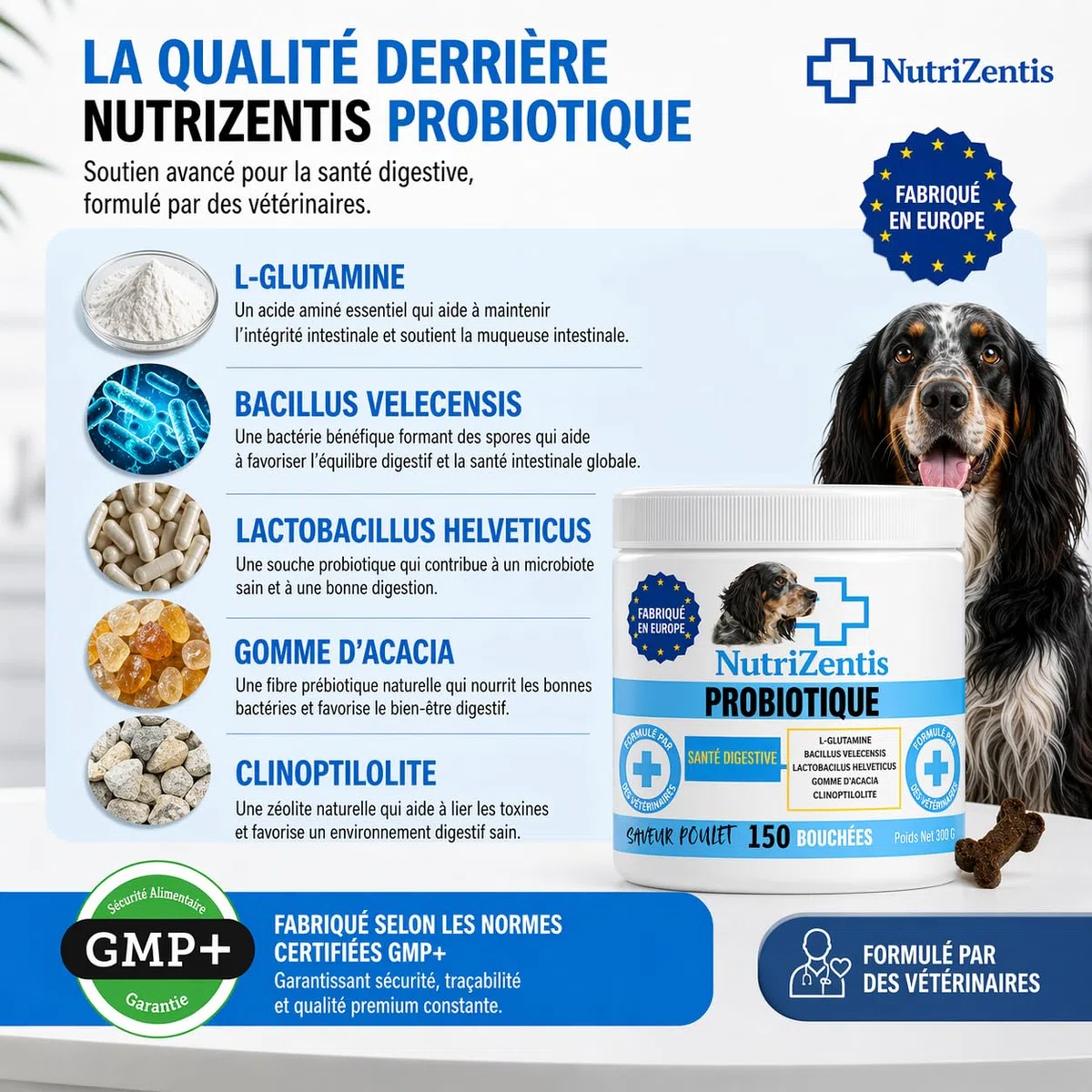 Probiotique Chien 150 Bouchées Répare la Flore intestinale du Chien, renforce Son système immunitaire, probiotiques pour Chiens | Fabriqué en Europe | 150 Bouchées au Poulet