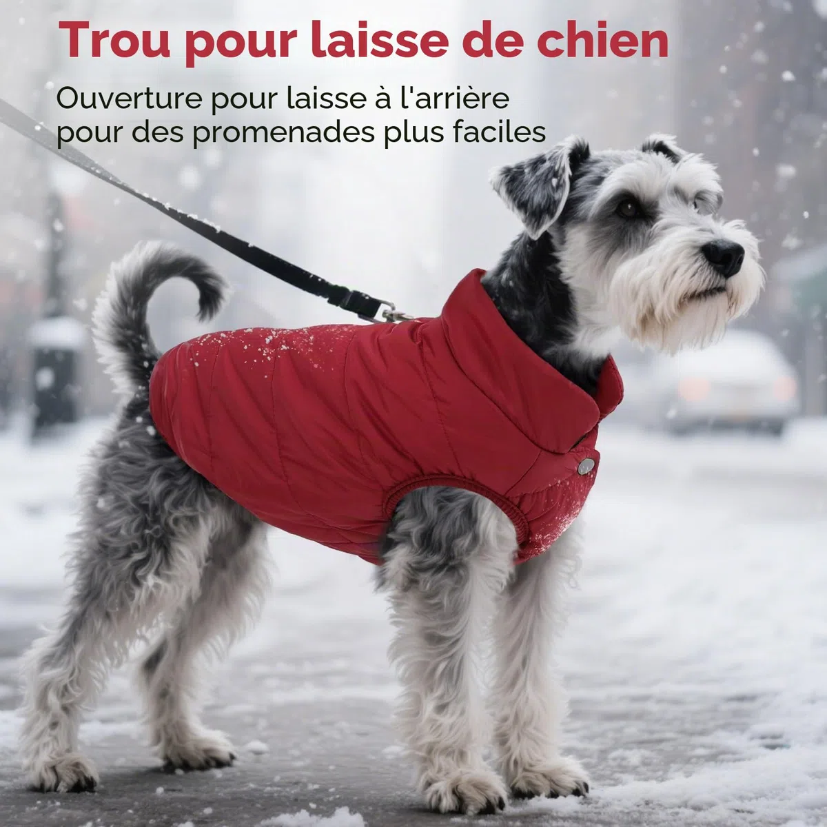 ASENKU Manteau Hiver pour Chien XS, Matelassé Doublure Polaire Arctique, Veste Chien Hiver Imperméable,Boutons-Pression & Ouverture Harnais, pour Caniche, Chihuahua, Promenade Ville, Neige et Pluie