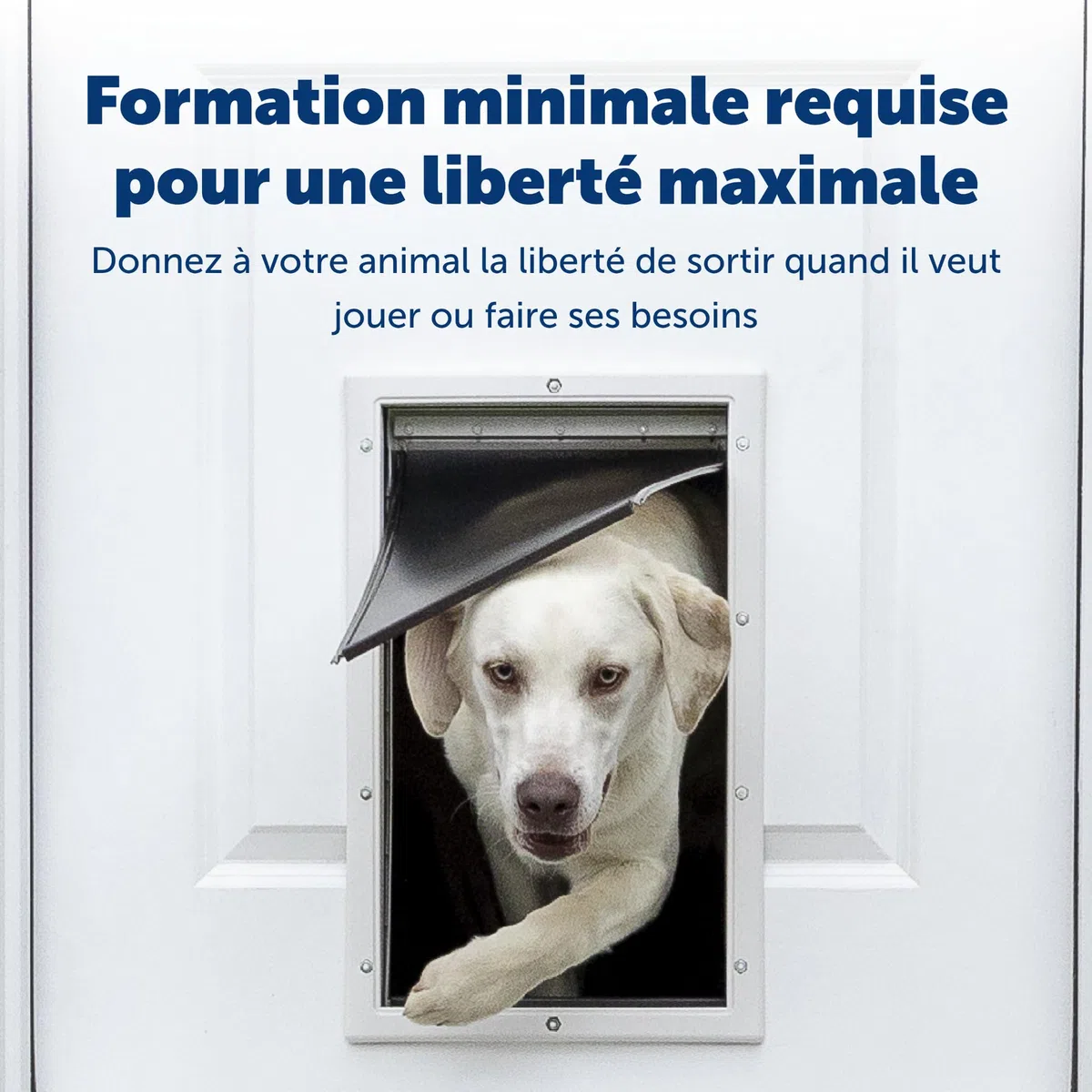 PetSafe - Porte pour Animaux de Compagnie en Aluminium - Design Durable, Installation Facile, Joint Résistant aux Intempéries, pour Plusieurs Animaux - XL