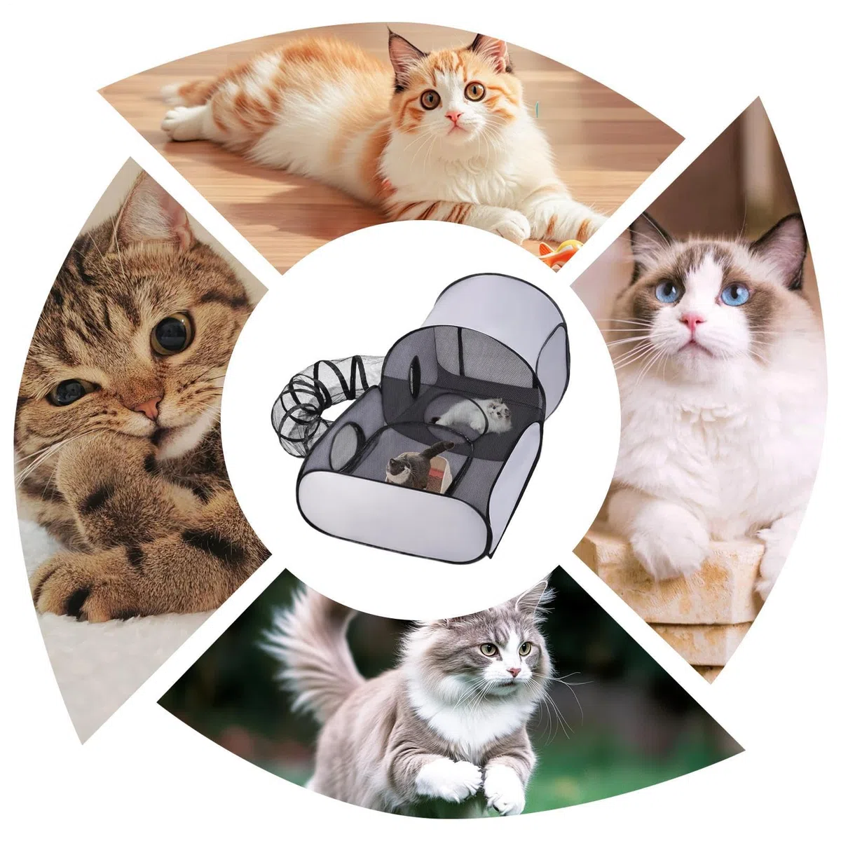 Parc d'Extérieur pour Chats - Parc d'exercice pour Chaton avec Tente et Tunnel - Maison Pliable Interractive Aire de Jeu Exercice pour Chaton Chiot Et Petits Animaux Voyage Extérieur
