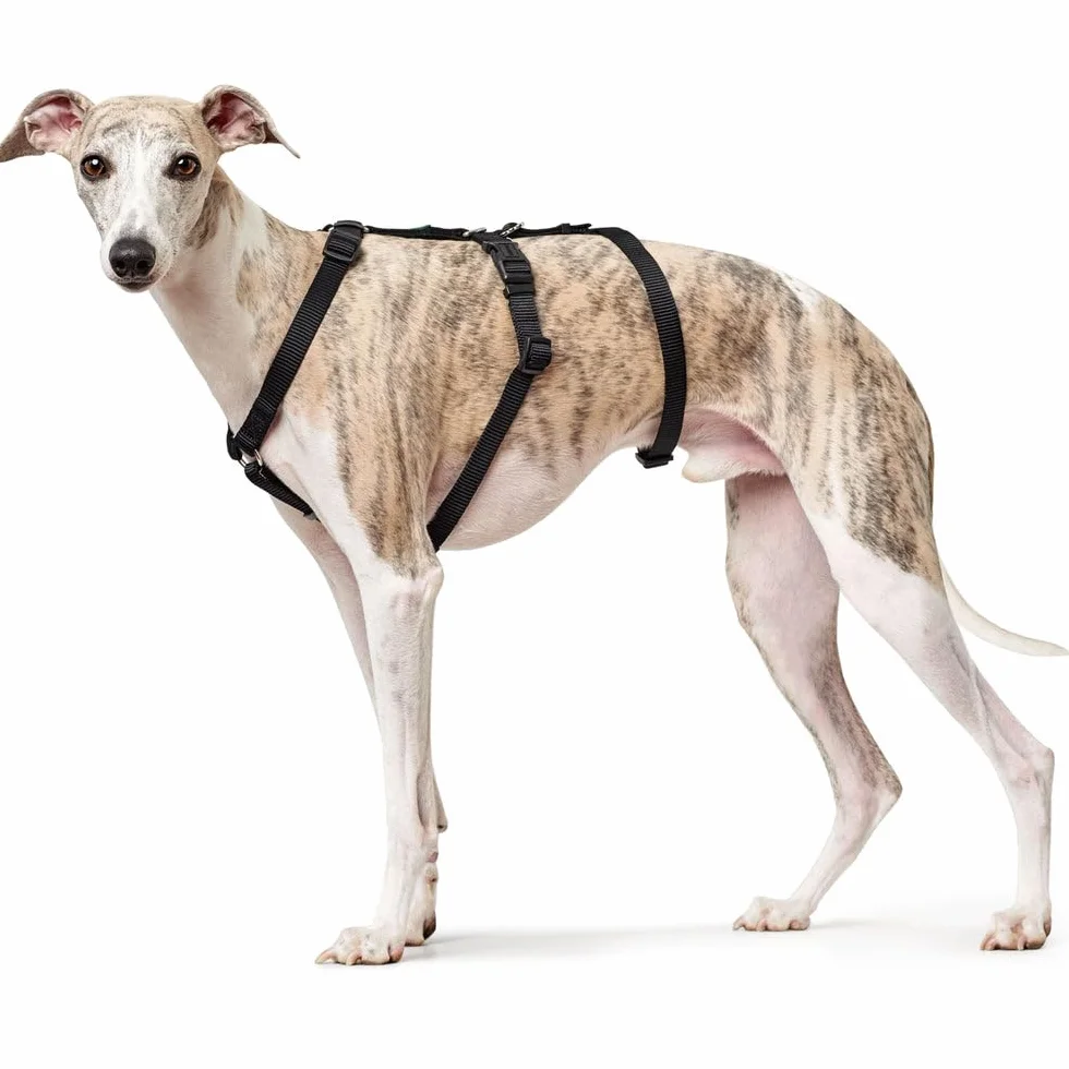 Hunter modèle Vario Rapid Harnais de sécurité Anti-Panique pour Chiens anxieux. en Nylon Souple et résistant aux déchirures
